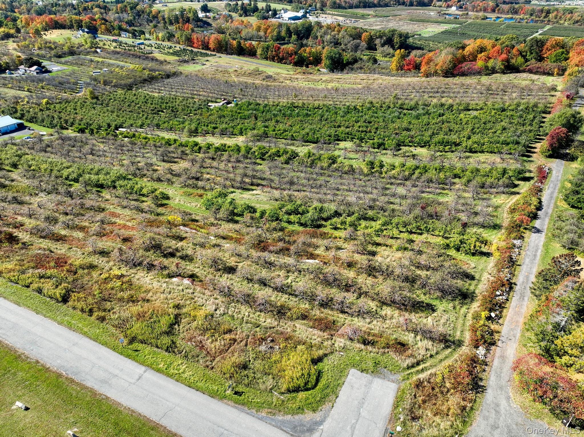 #4 photo, 75 Palazzo Lane, Highland , NY 12528