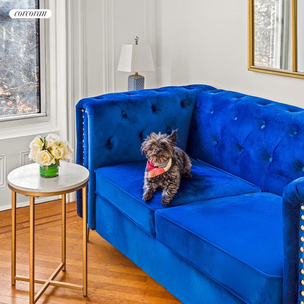 #11 photo, 514 9TH Street, הברונקס Park Slope , NY 11215