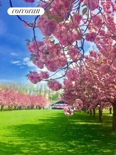 #20 photo, 514 9TH Street, הברונקס Park Slope , NY 11215