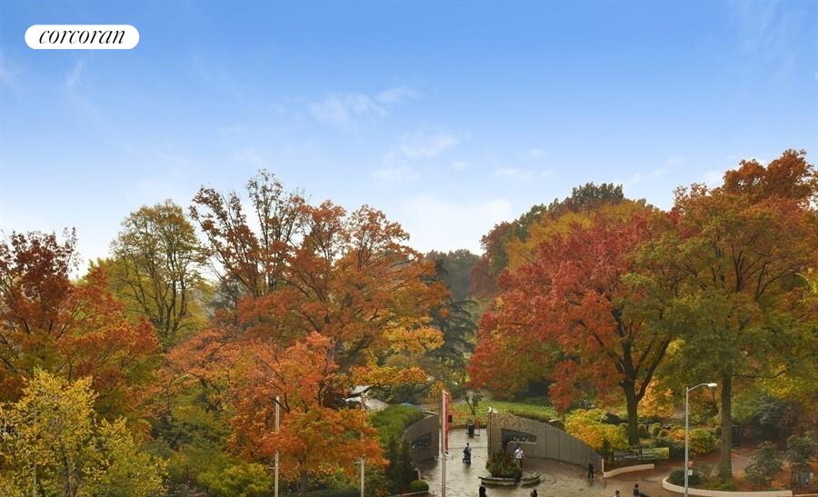 #21 photo, 514 9TH Street, הברונקס Park Slope , NY 11215