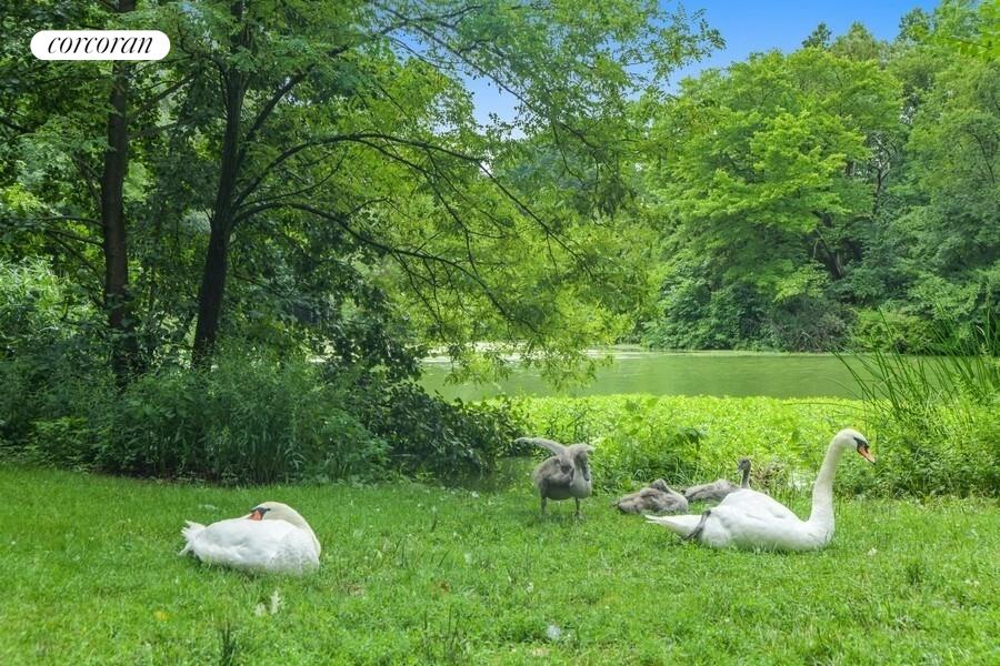 #22 photo, 514 9TH Street, הברונקס Park Slope , NY 11215