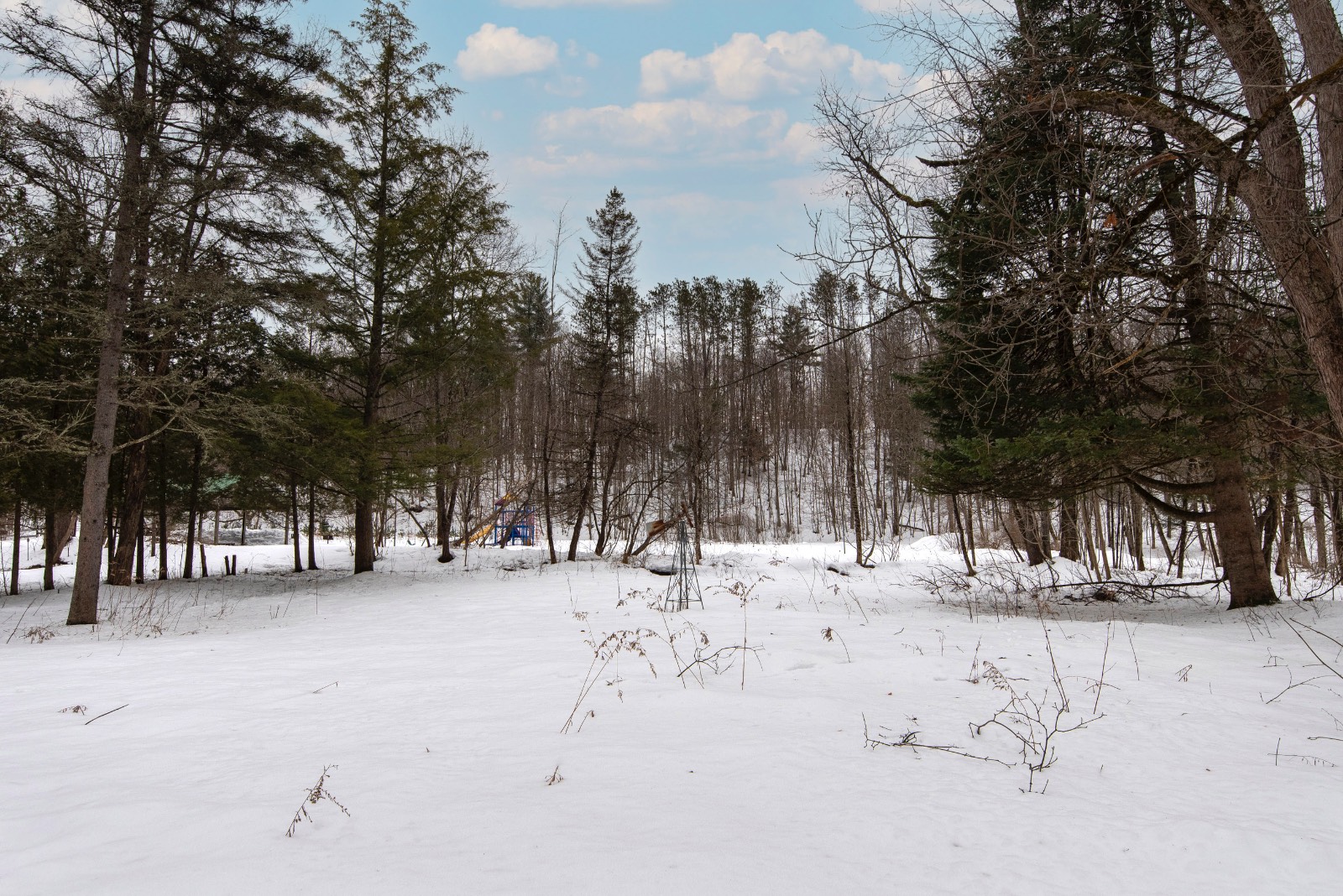 #66 photo, 420 Main Street, Cold Brook , NY 13324