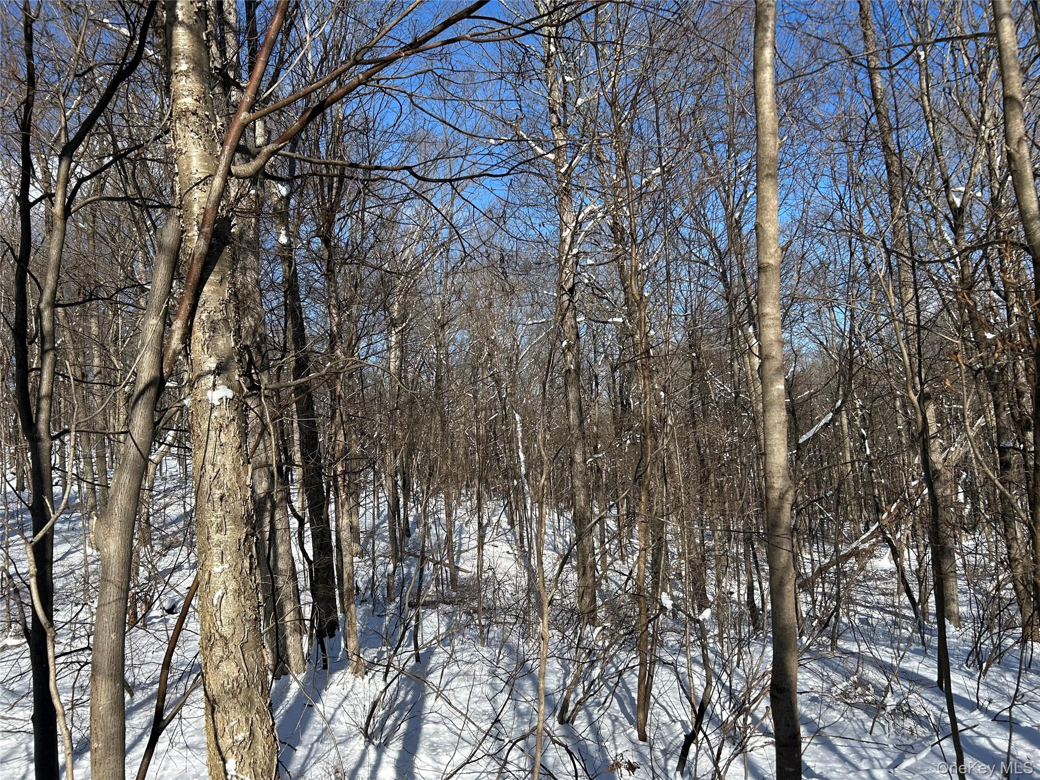 #2 photo, 20 Hickory Lane, Pawling , NY 12564