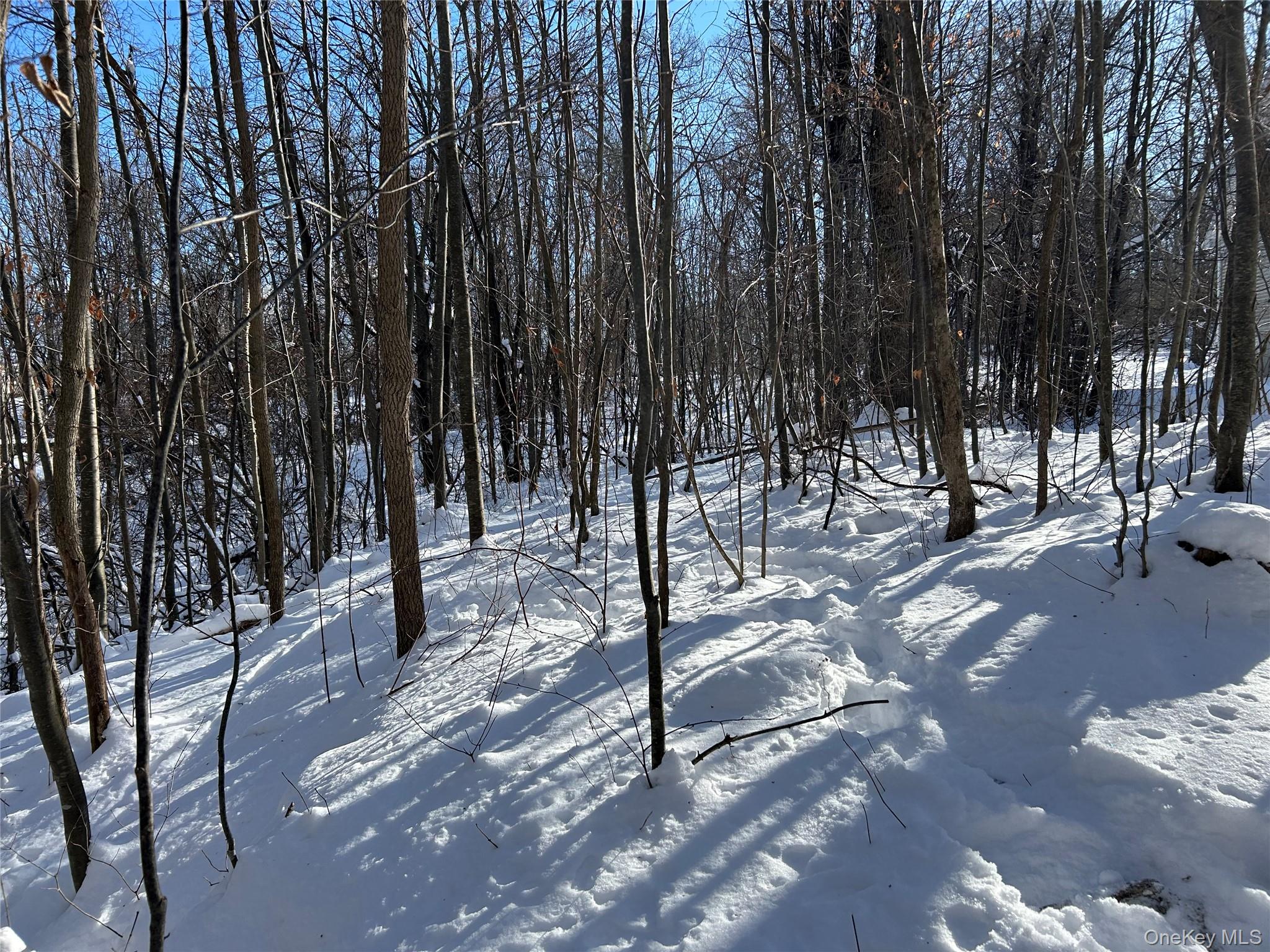 #5 photo, 20 Hickory Lane, Pawling , NY 12564