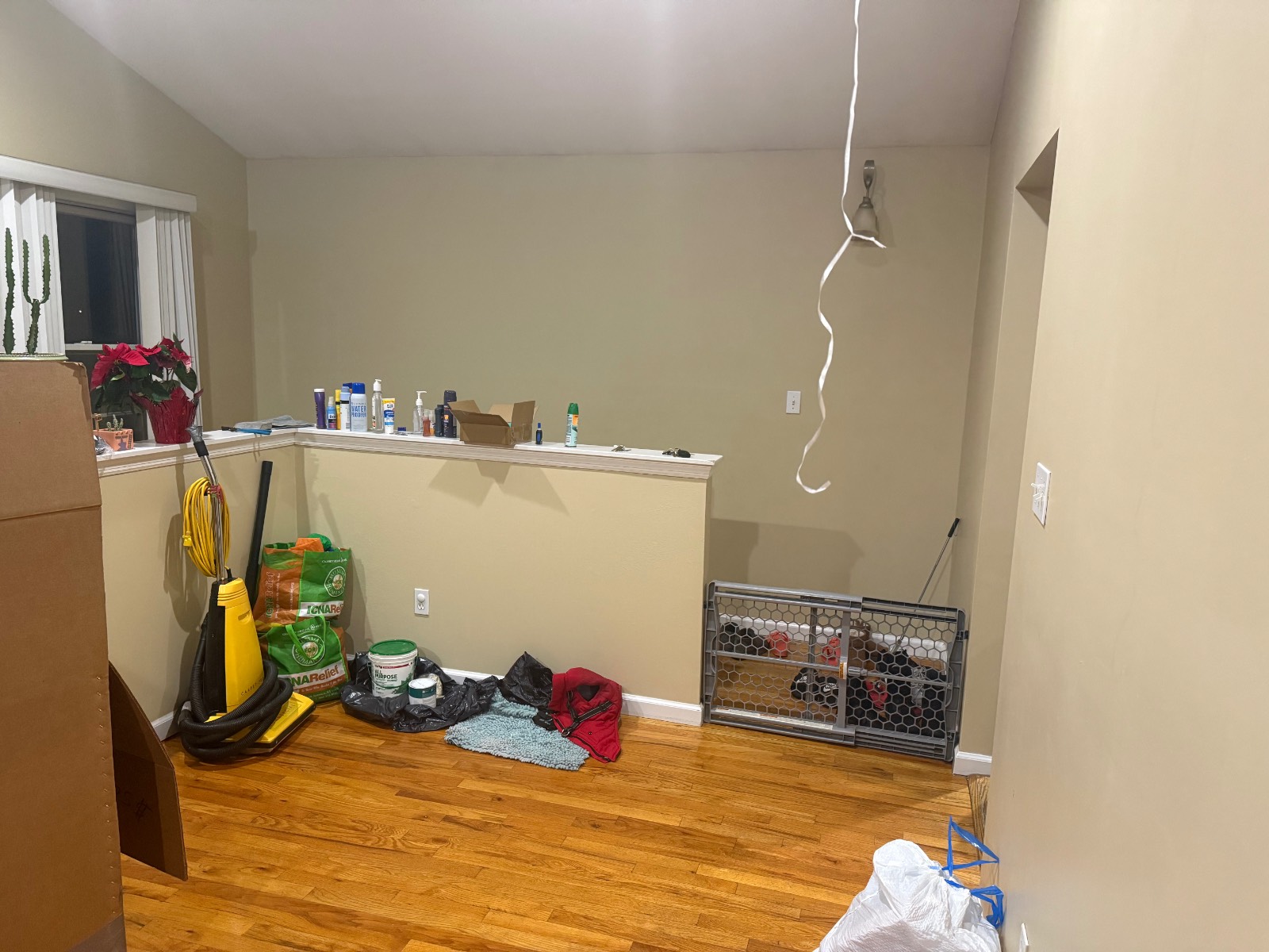 #6 photo, 1336 K St, #2, מחוז נסאו Elmont , NY 11003