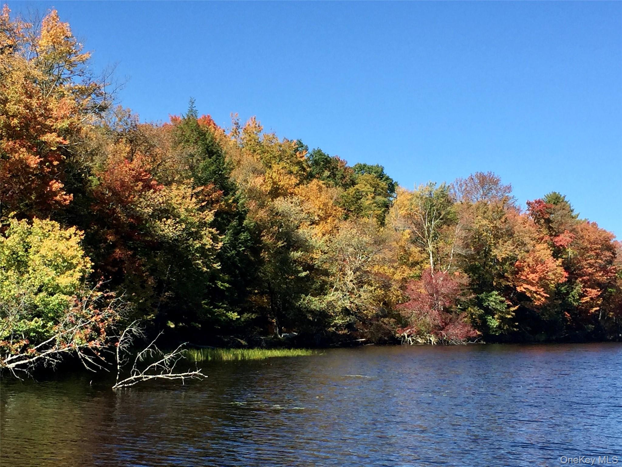 #3 photo, 9 Canterbury Court, White Lake , NY 12720