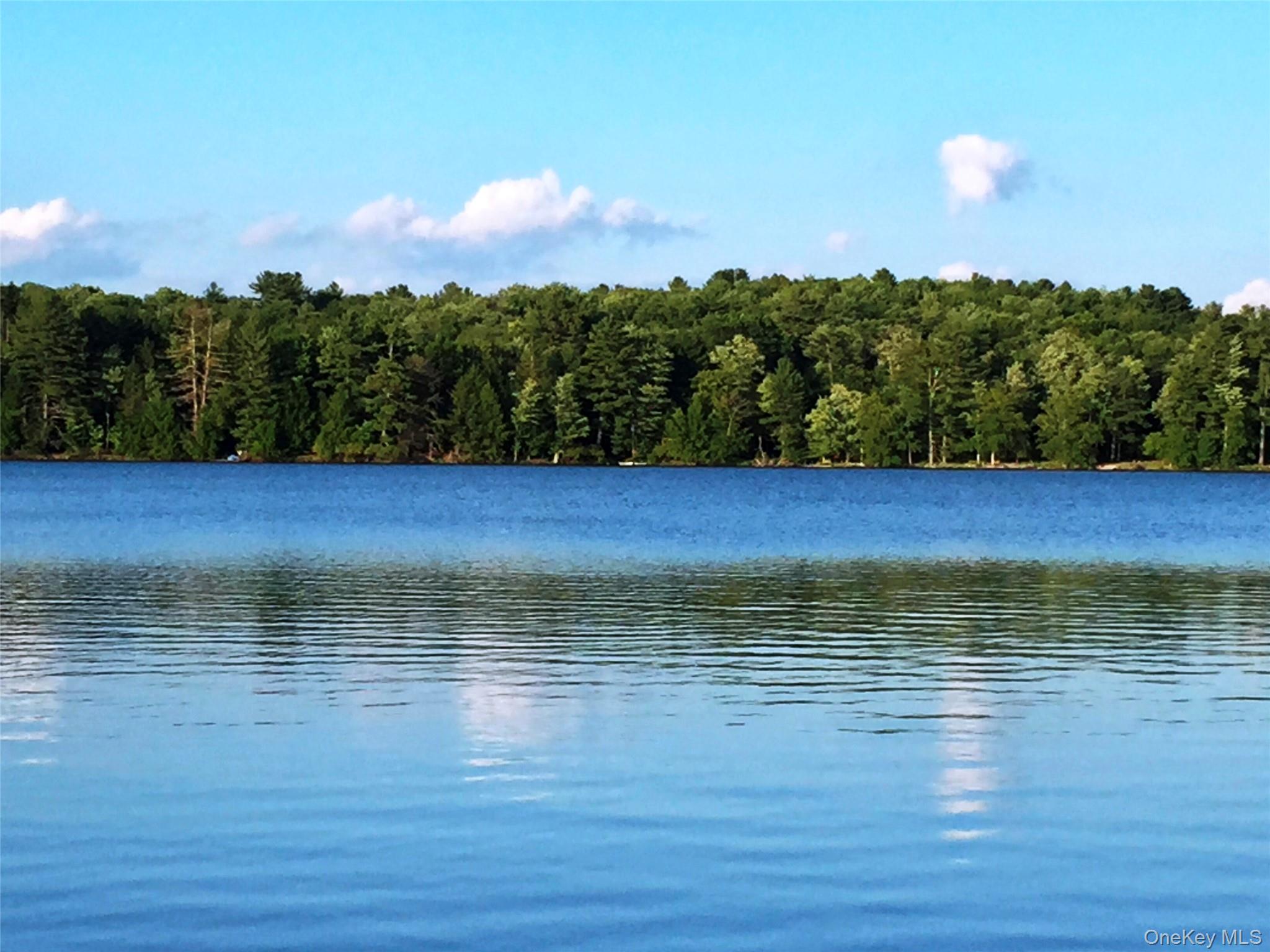 #5 photo, 9 Canterbury Court, White Lake , NY 12720