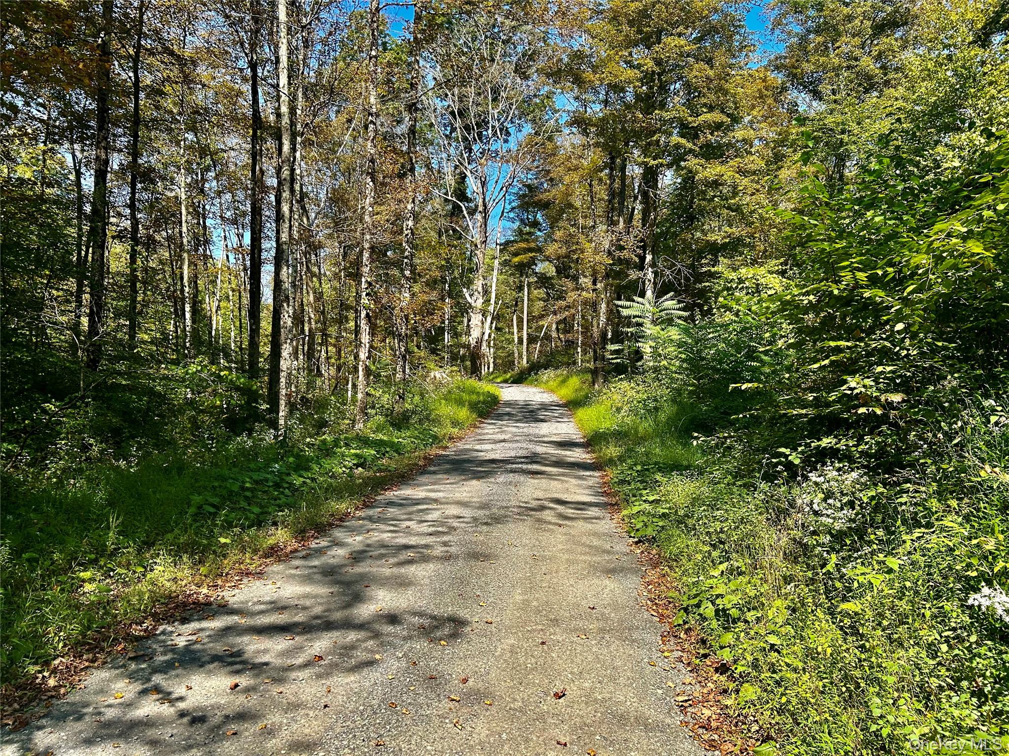 #10 photo, Westfall, Ancram , NY 12502