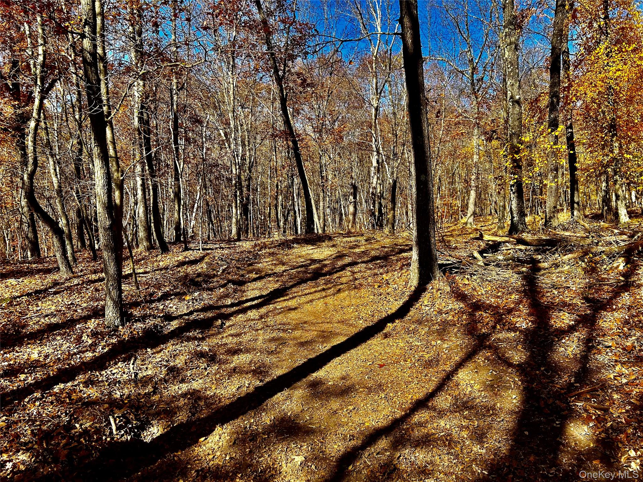 #12 photo, Westfall, Ancram , NY 12502