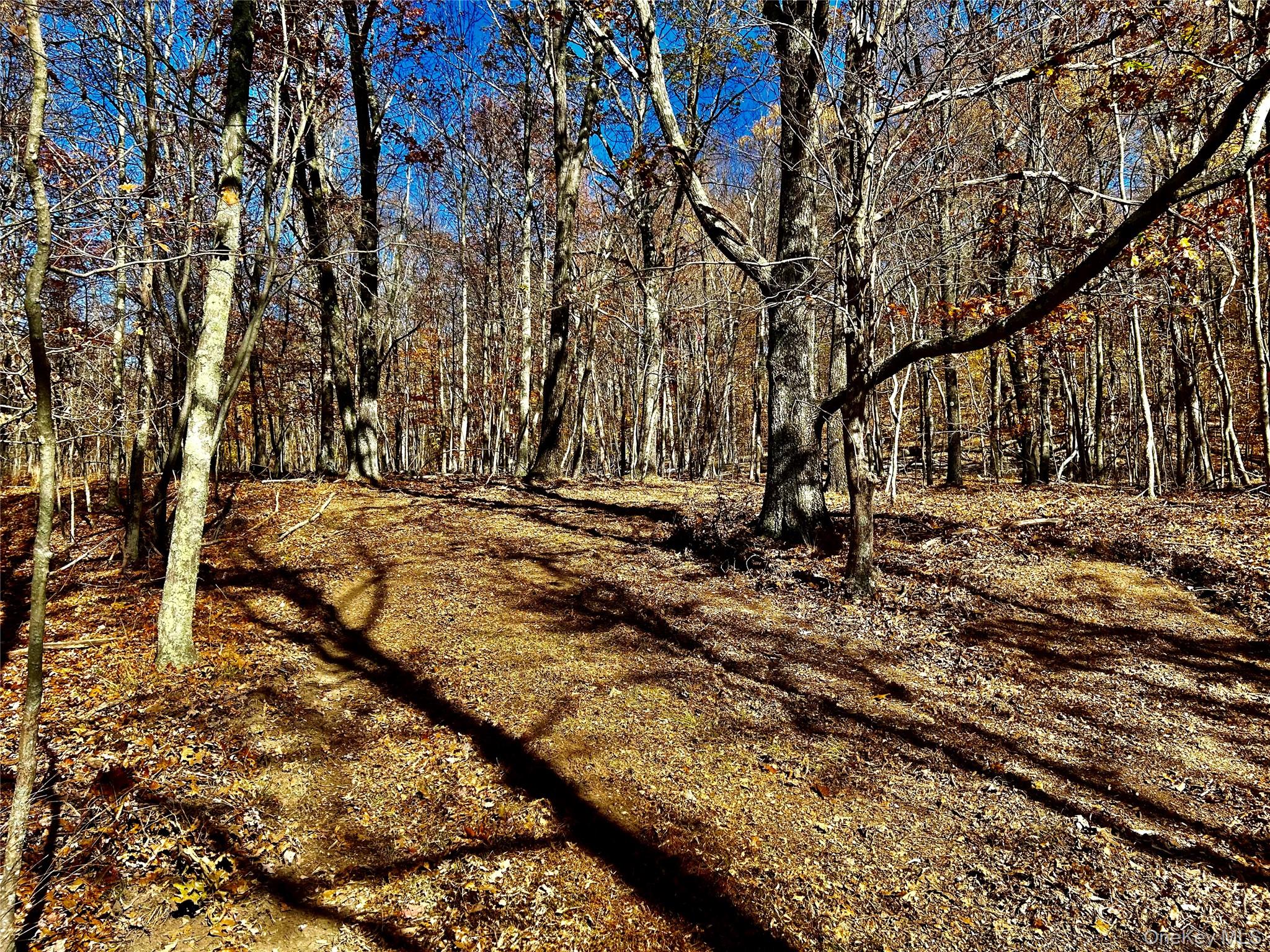 #13 photo, Westfall, Ancram , NY 12502