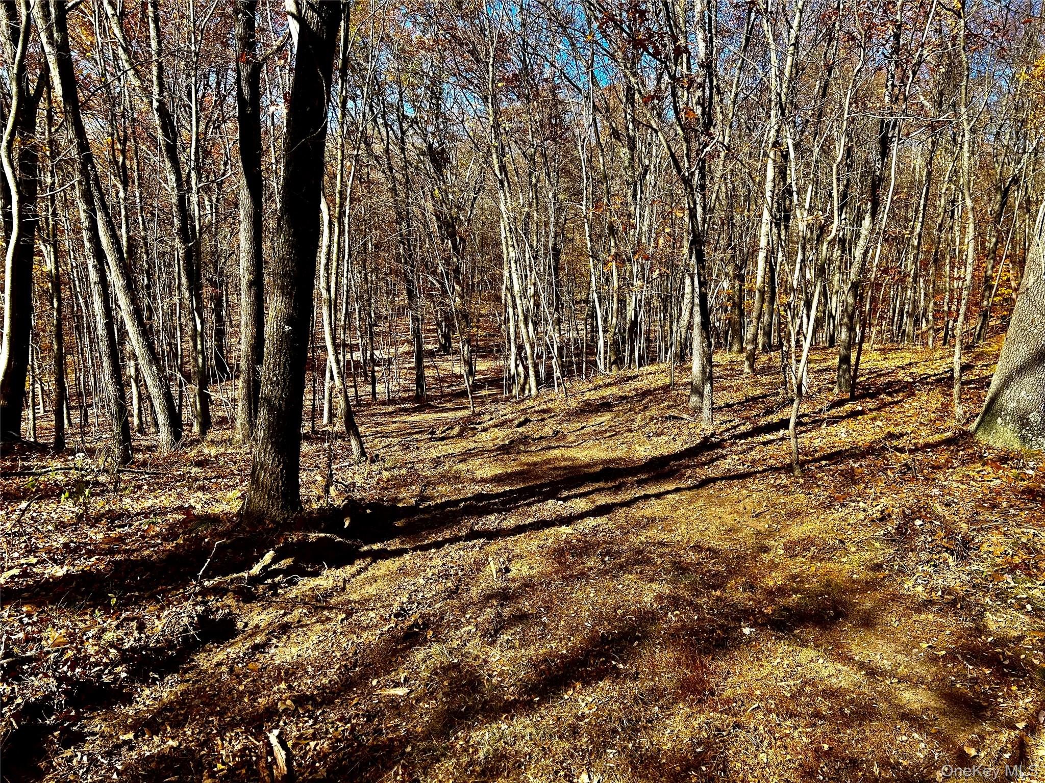 #14 photo, Westfall, Ancram , NY 12502