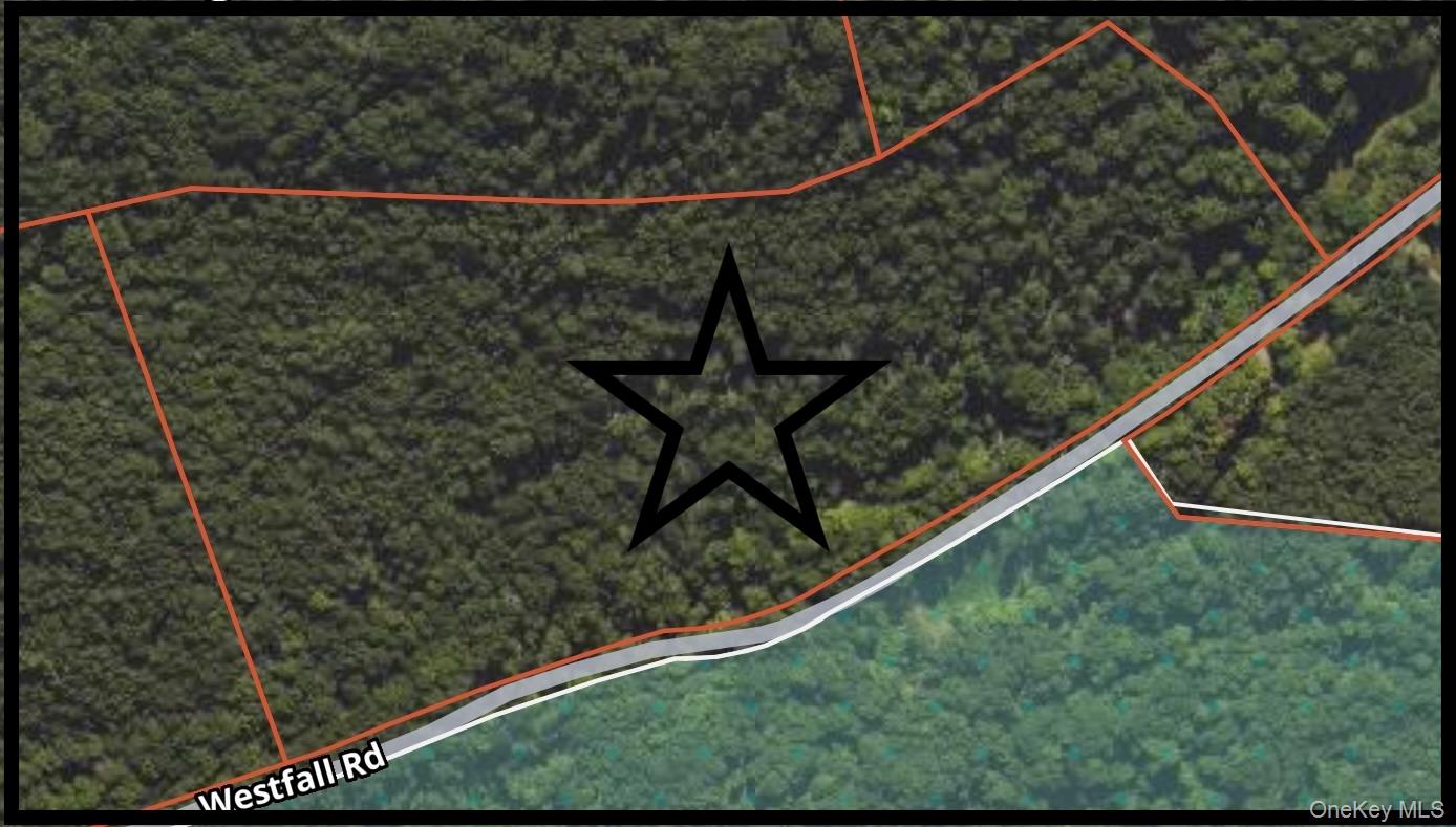 #15 photo, Westfall, Ancram , NY 12502