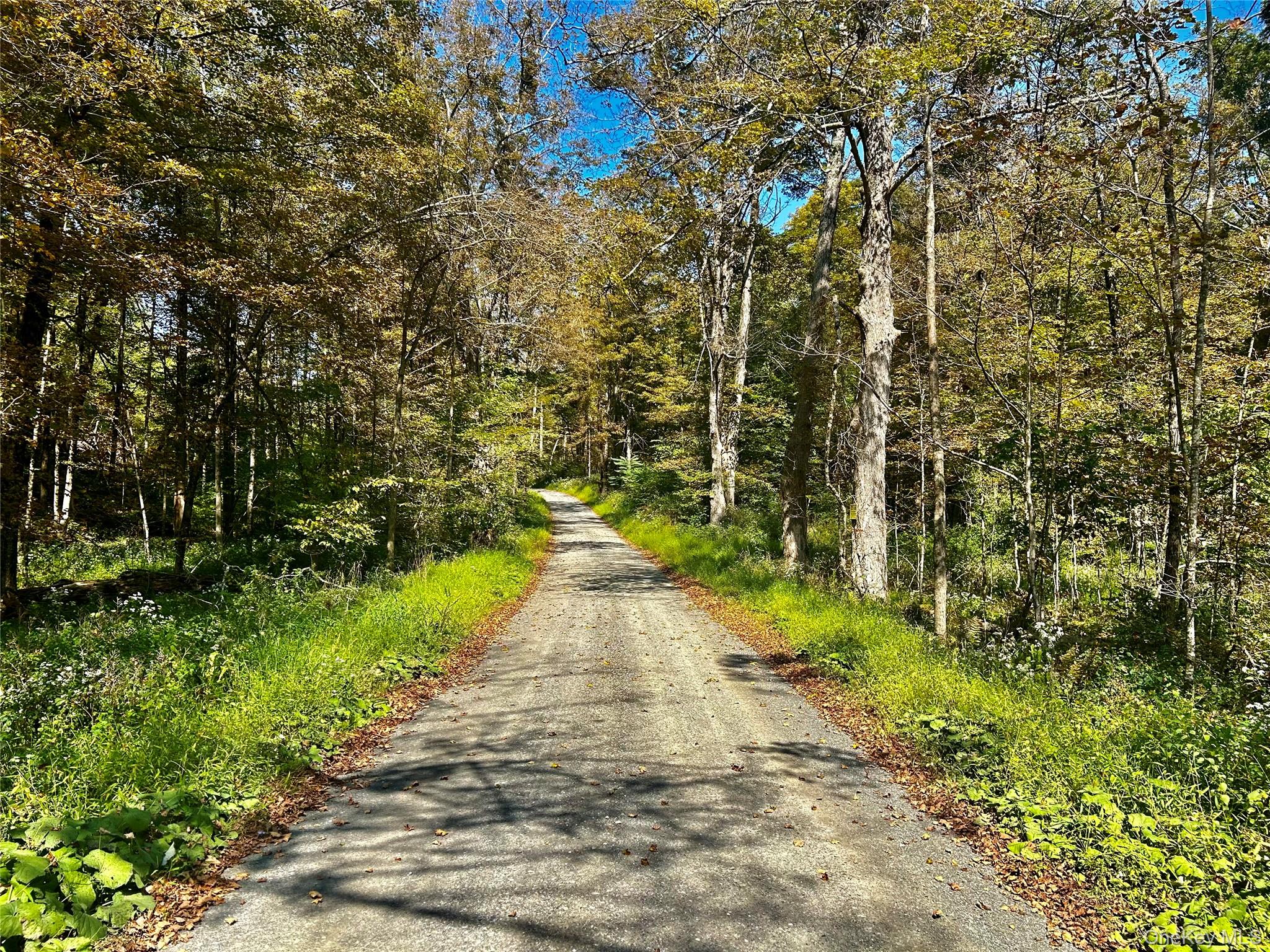 #3 photo, Westfall, Ancram , NY 12502