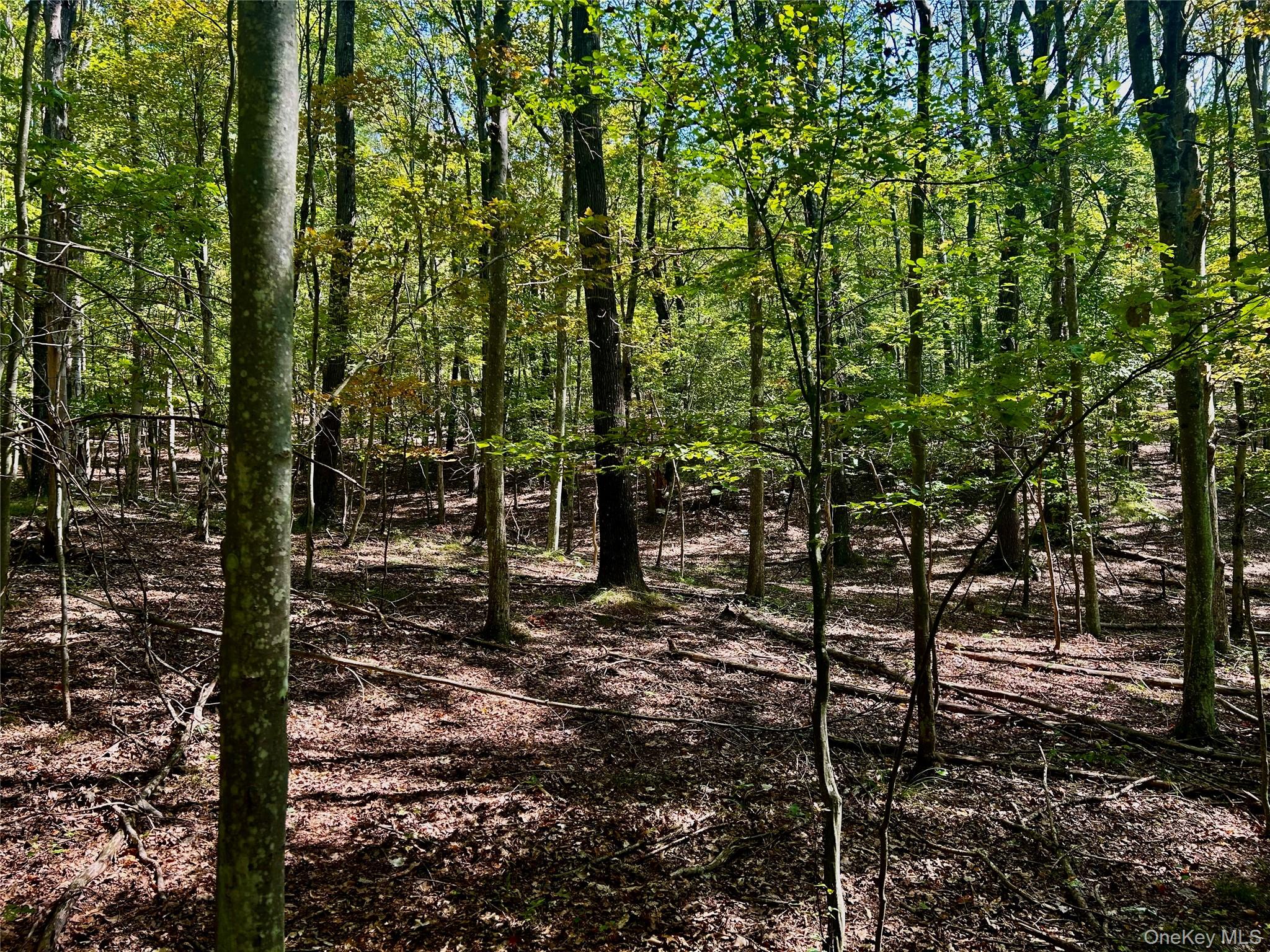 #4 photo, Westfall, Ancram , NY 12502