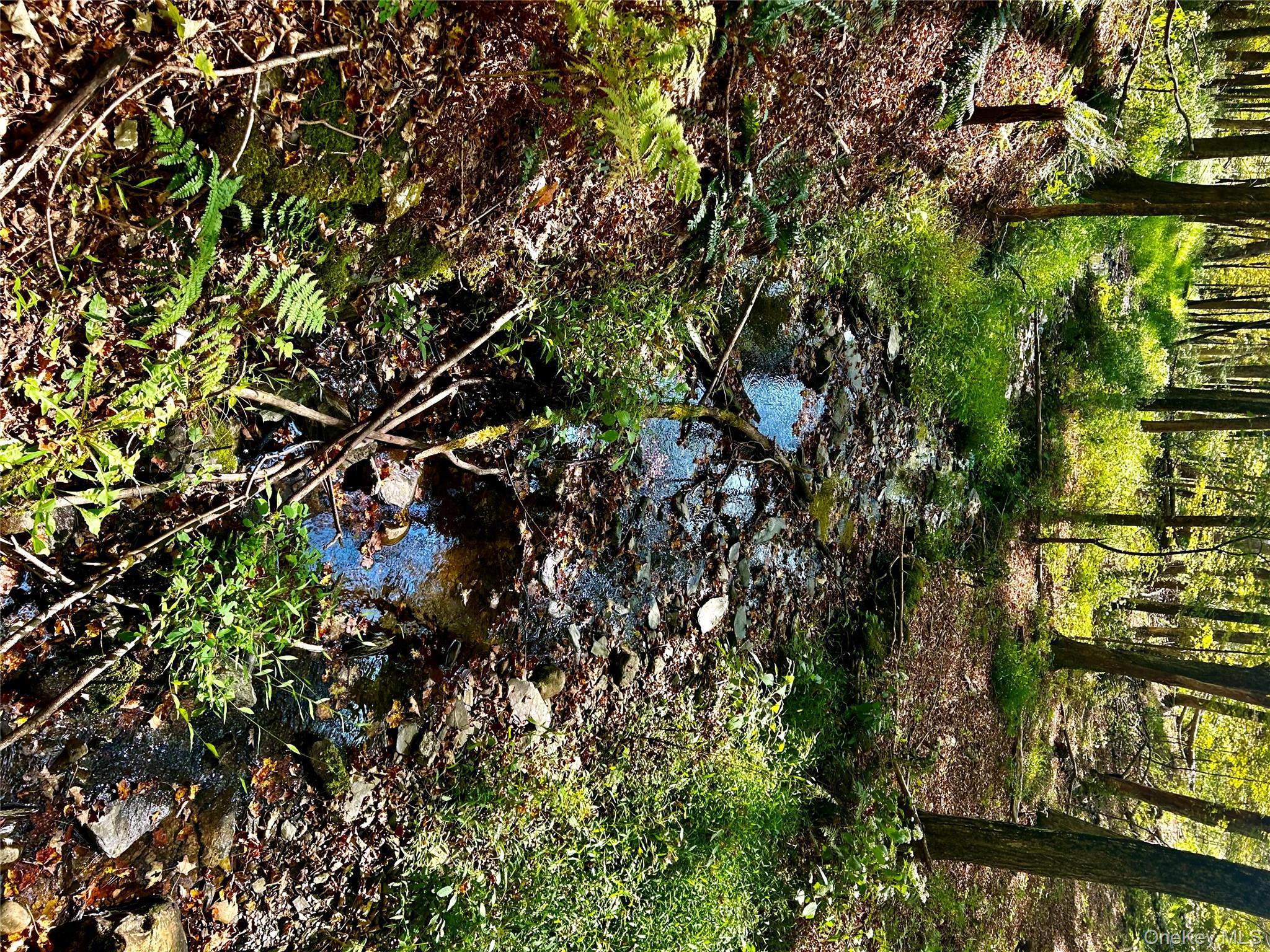 #5 photo, Westfall, Ancram , NY 12502