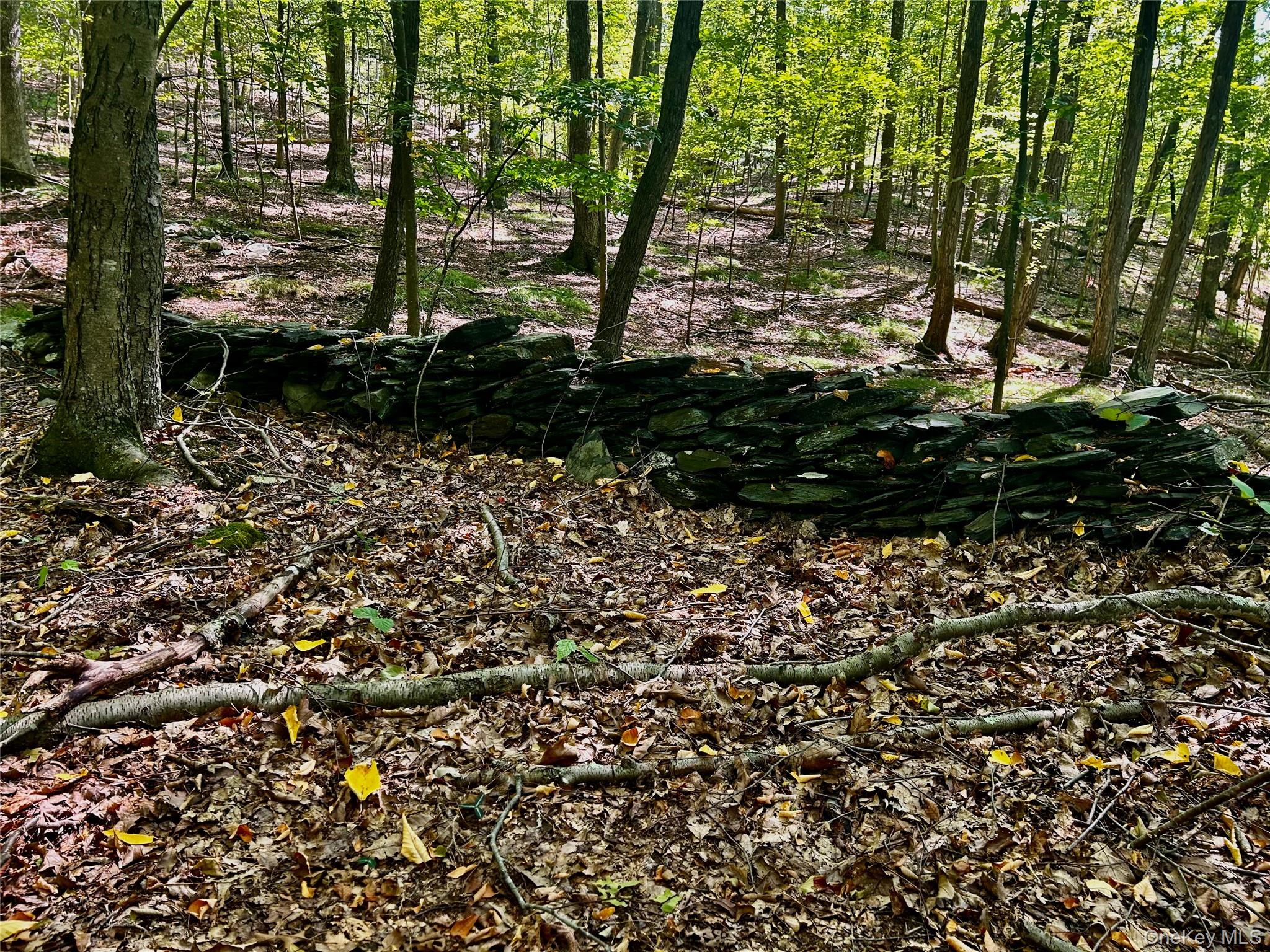 #7 photo, Westfall, Ancram , NY 12502