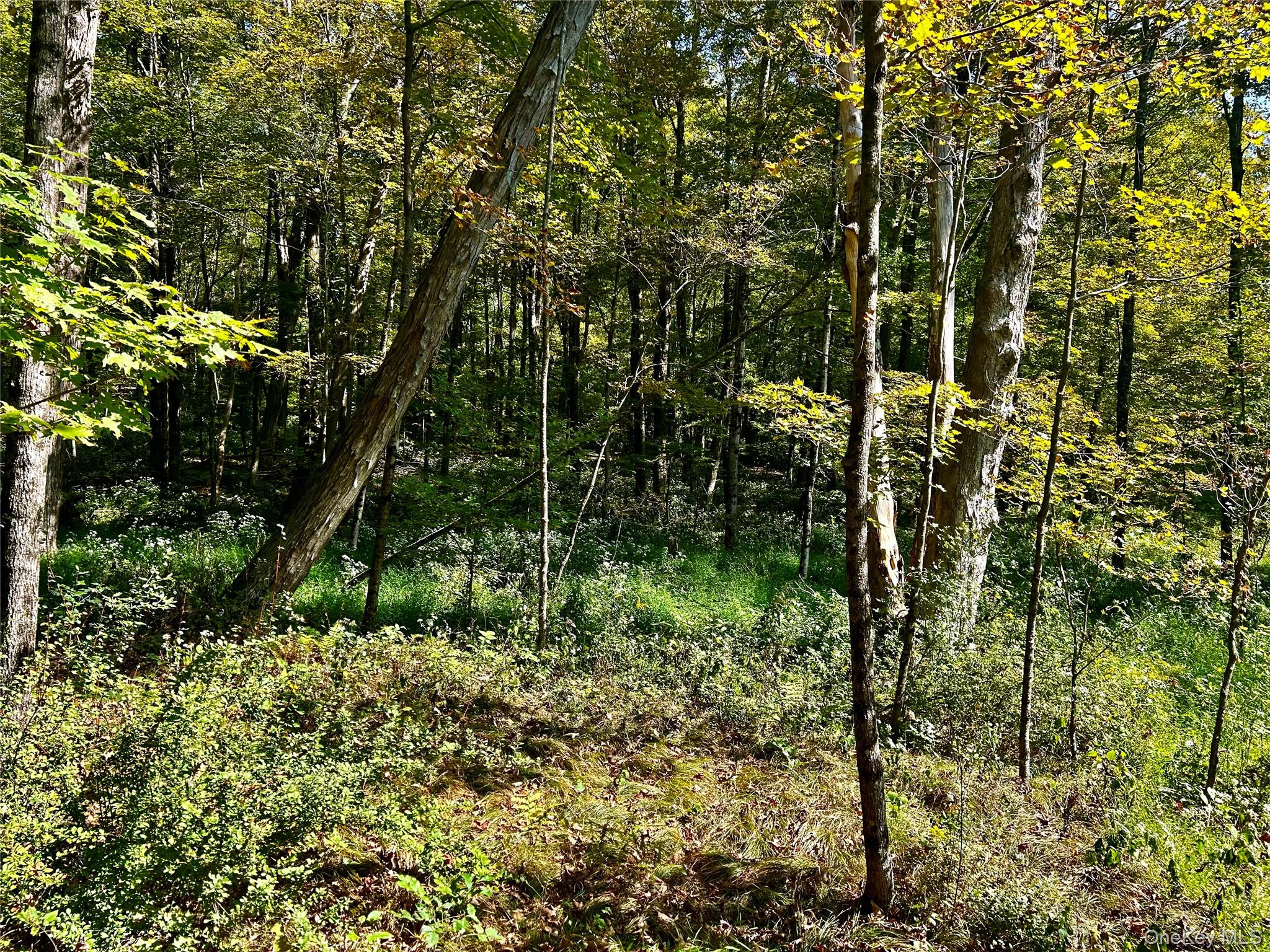 #9 photo, Westfall, Ancram , NY 12502