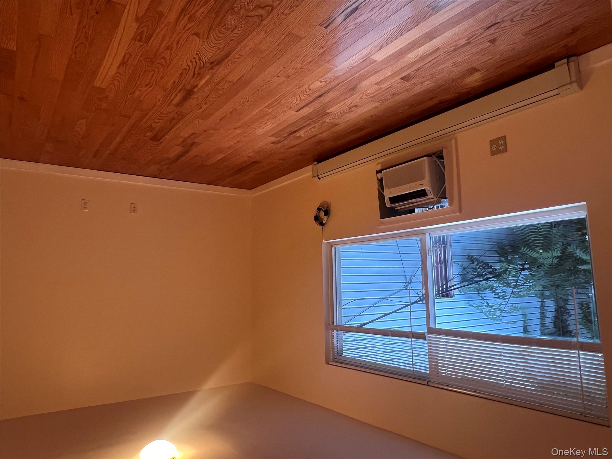 #11 photo, 1031 Halsey Street, הברונקס Brooklyn , NY 11207