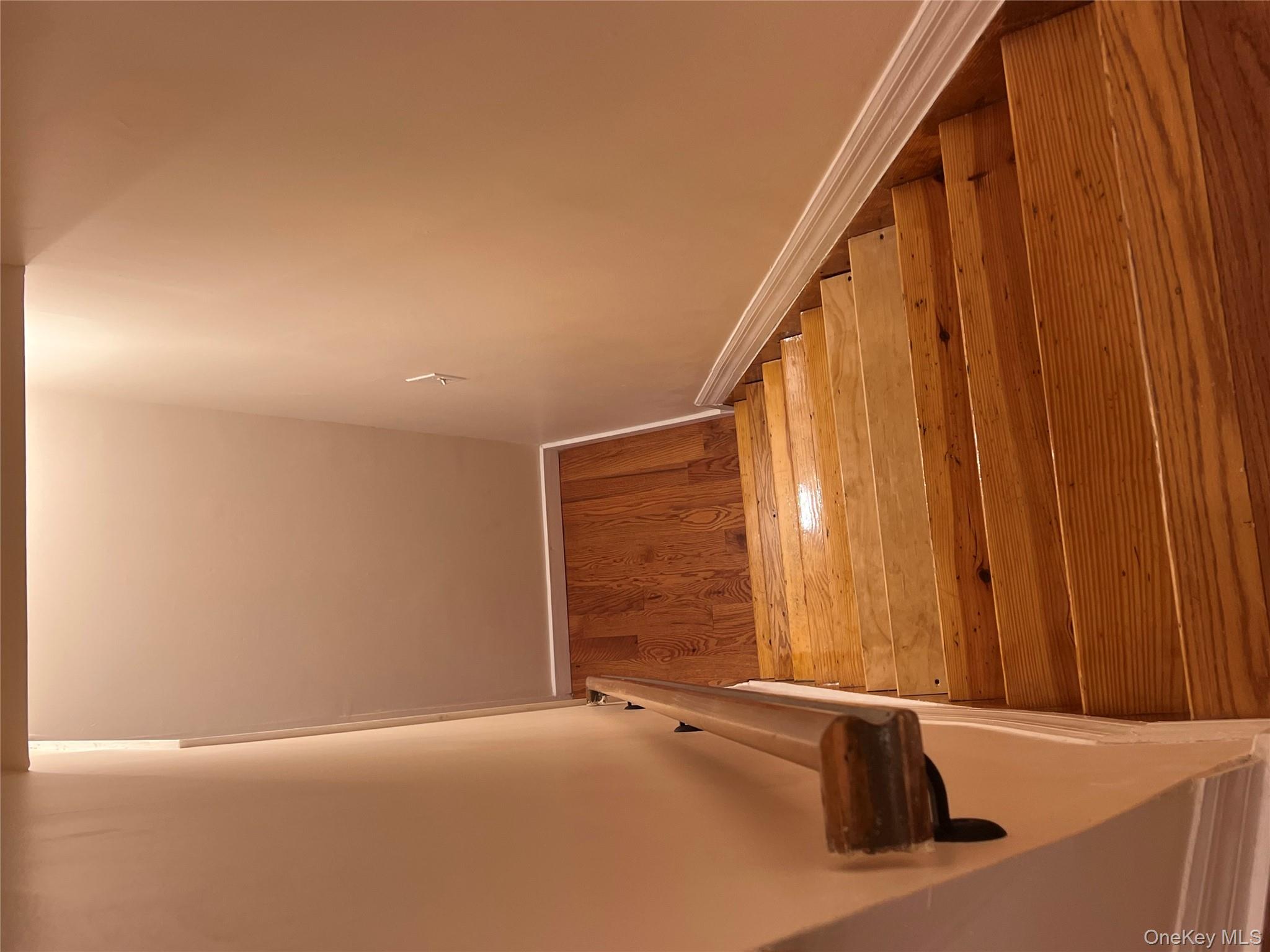 #13 photo, 1031 Halsey Street, הברונקס Brooklyn , NY 11207