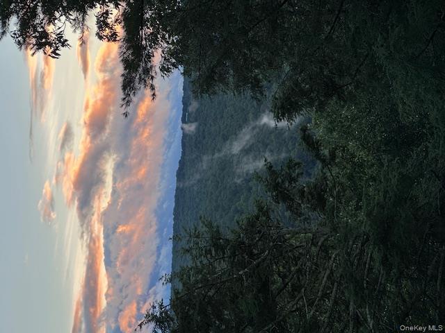 #12 photo, 385 Evergreen Lane, Narrowsburg , NY 12764