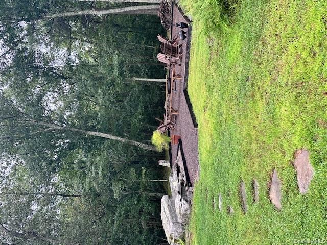 #8 photo, 385 Evergreen Lane, Narrowsburg , NY 12764