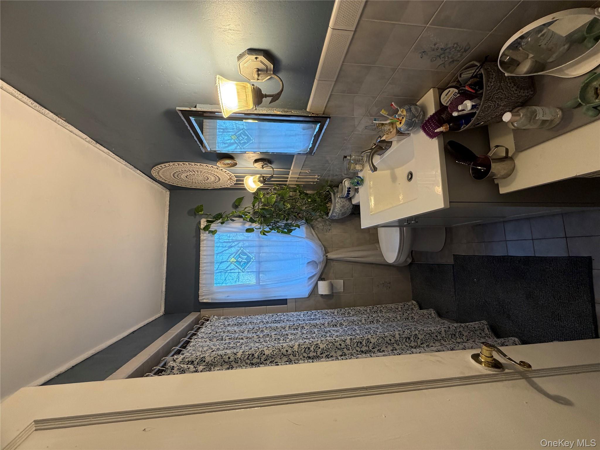 #6 photo, 11 bittermint, सफ़ोक काउंटी Islip , NY 11751