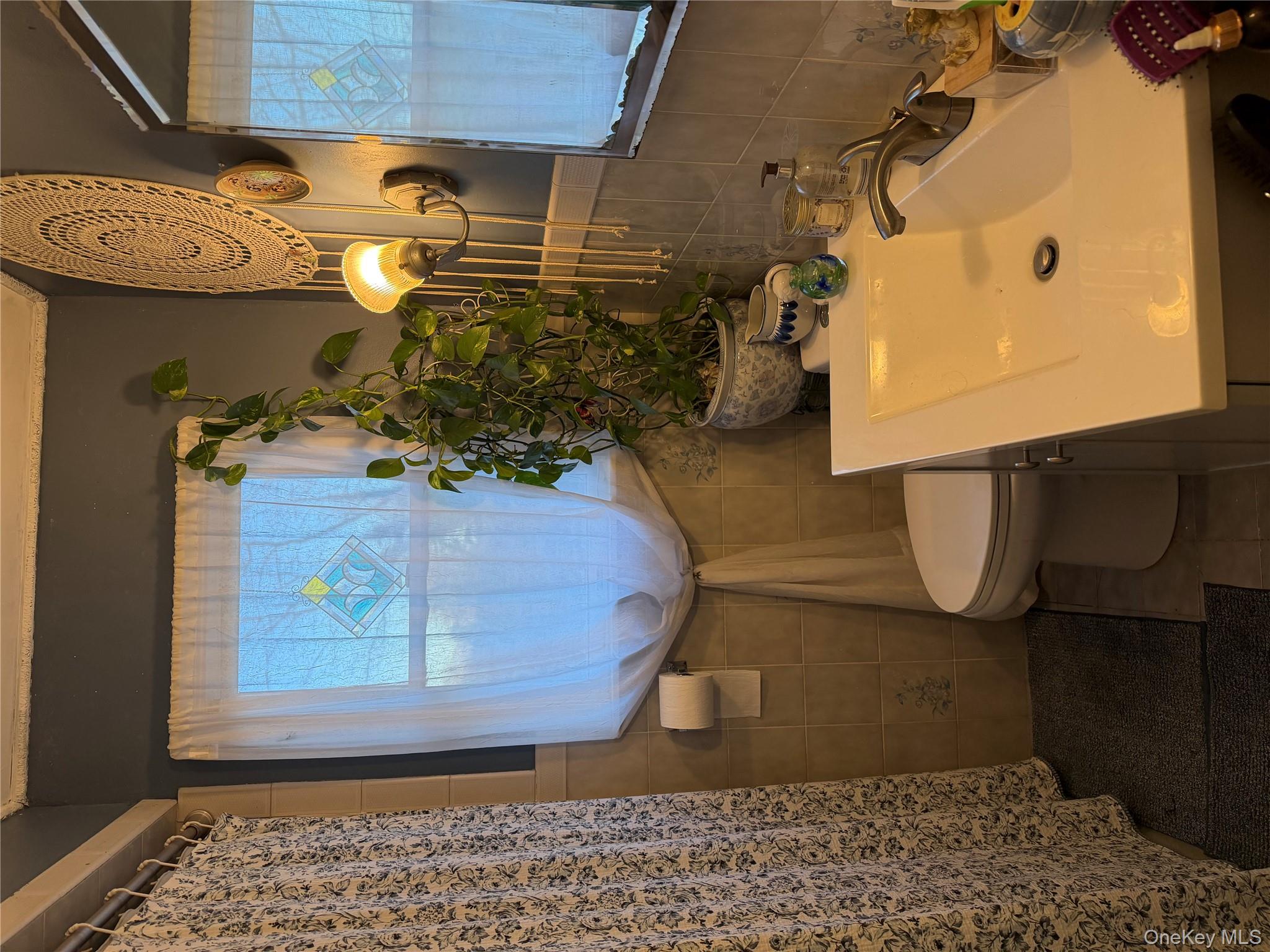 #7 photo, 11 bittermint, सफ़ोक काउंटी Islip , NY 11751