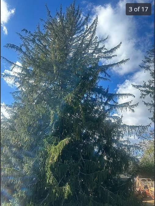 #15 photo, 00 LAKE PROMENADE, 东长岛 Lake Ronkonkoma , NY 11779