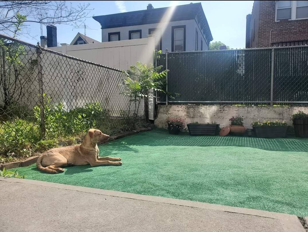 #9 photo, 41-33 55th st, 皇后區 木邊 Woodside , NY 11377