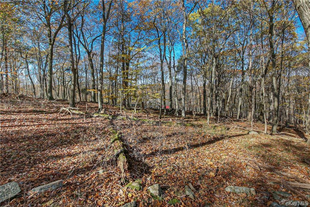 #5 photo, 31 Sarles Street, 뉴욕주 Armonk , NY 10504