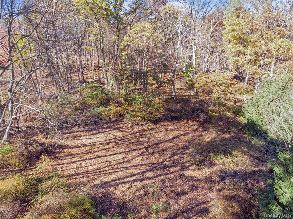 #6 photo, 31 Sarles Street, 뉴욕주 Armonk , NY 10504