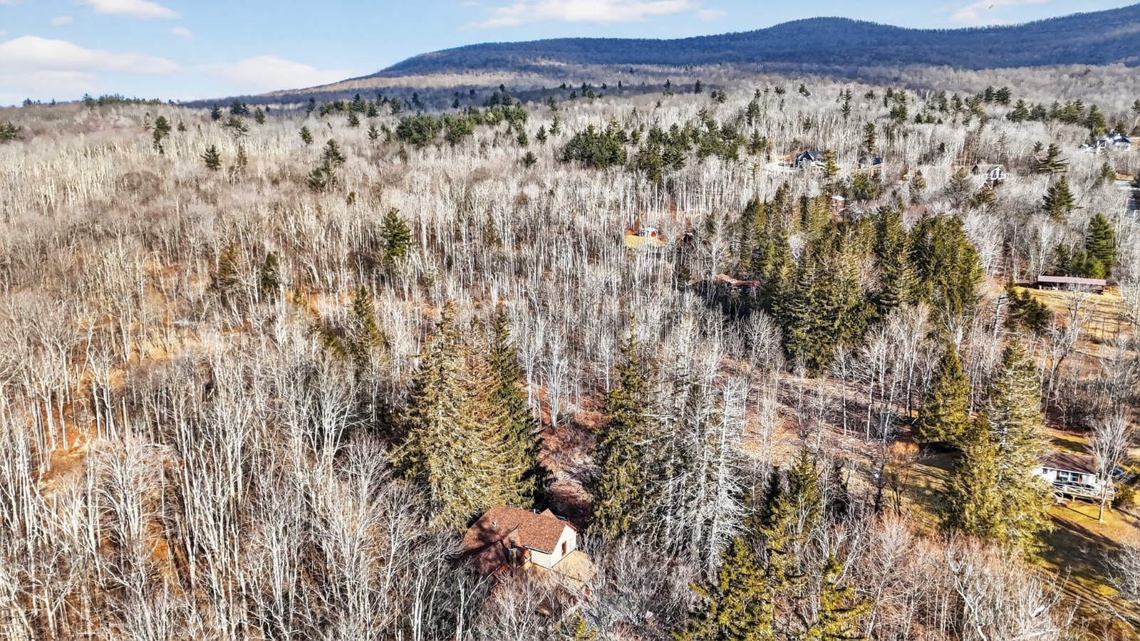 #7 photo, 21 Garfield Ave, Hunter , NY 12442