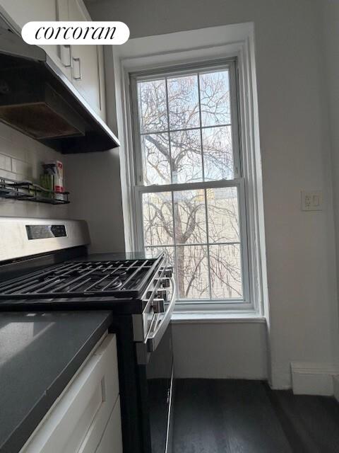 #4 photo, Brooklyn, ब्रुकलीन Prospect Heights , NY 11238