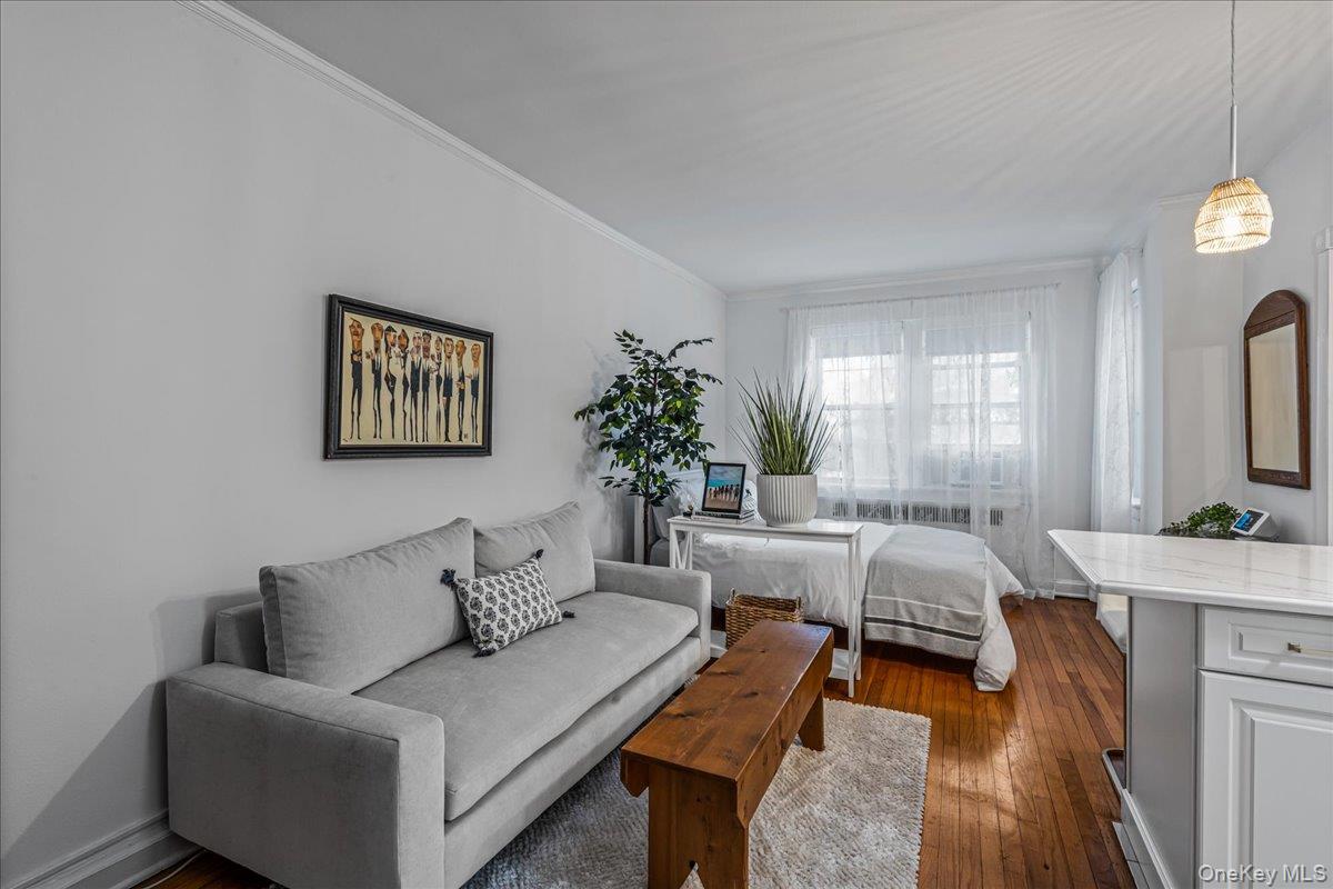 #6 photo, 36 Hamilton Place, 长岛 Garden City , NY 11530