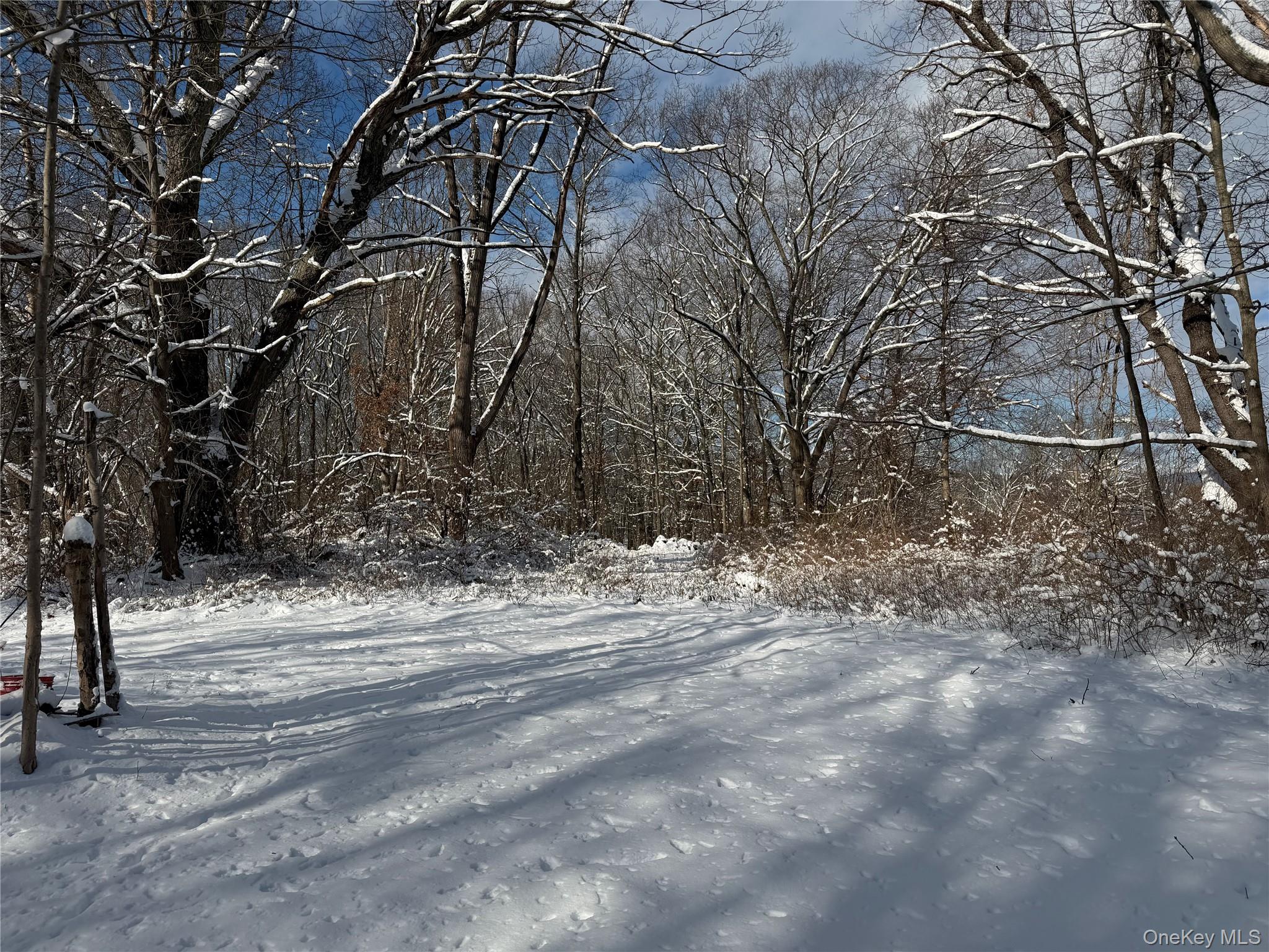 #11 photo, 165 Fairfield Drive, 纽约州 Brewster , NY 10509