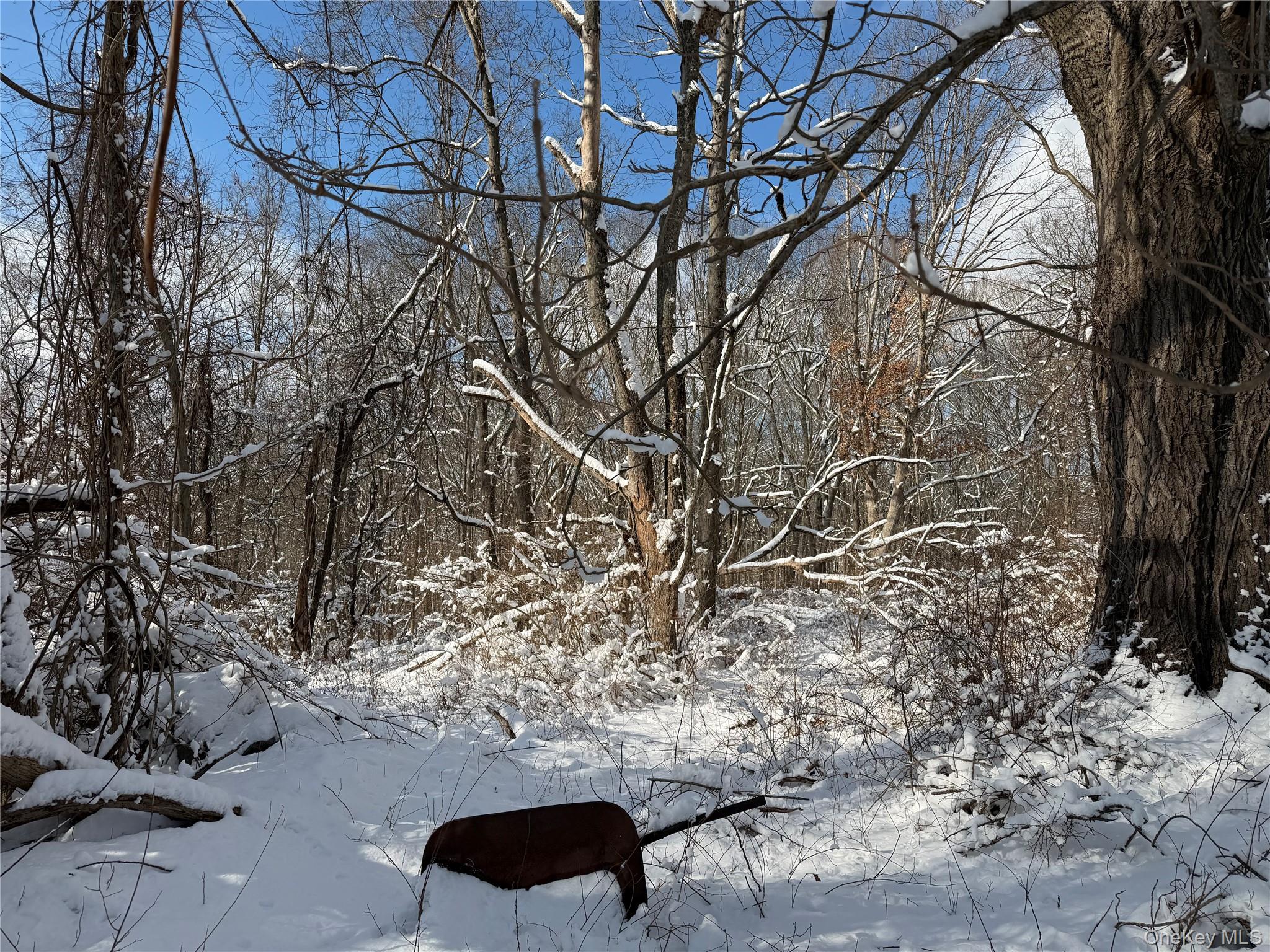 #12 photo, 165 Fairfield Drive, 纽约州 Brewster , NY 10509