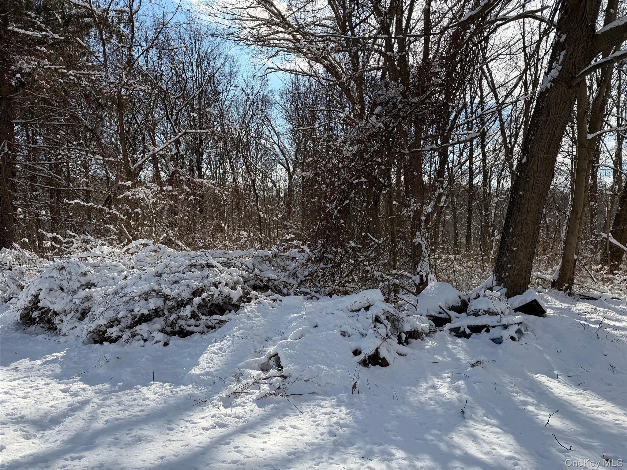 #3 photo, 165 Fairfield Drive, 纽约州 Brewster , NY 10509