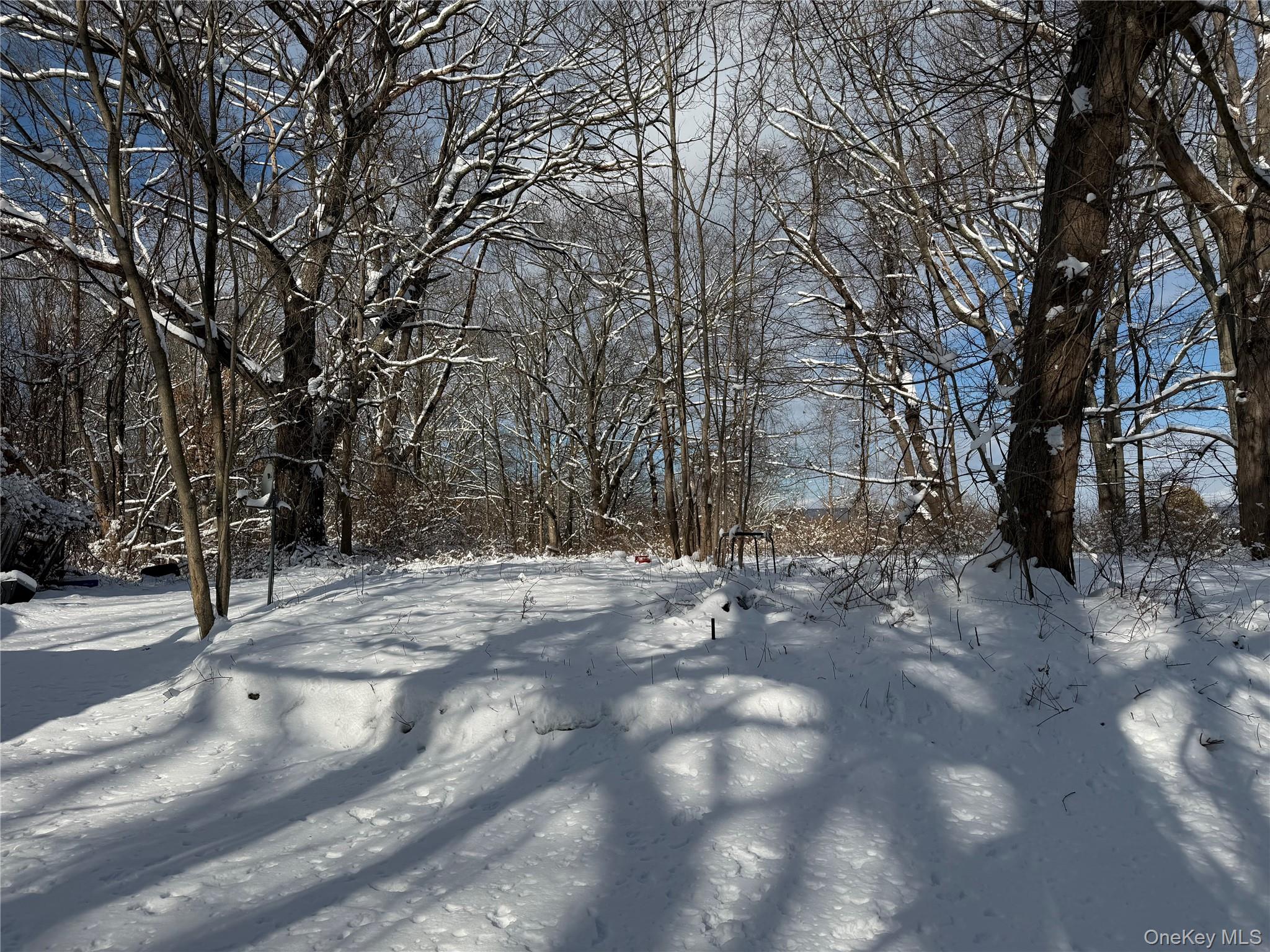 #4 photo, 165 Fairfield Drive, 纽约州 Brewster , NY 10509