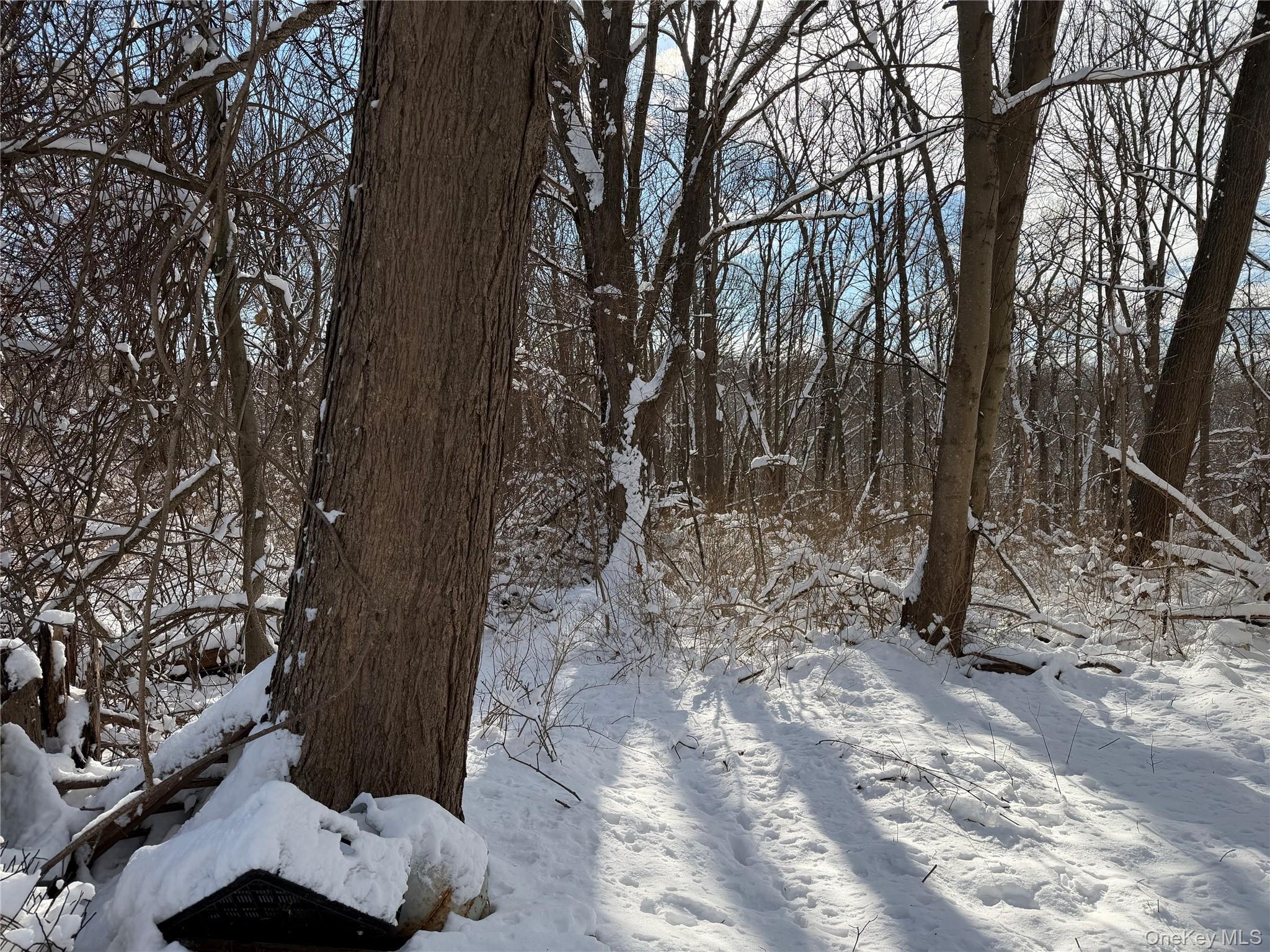 #8 photo, 165 Fairfield Drive, 纽约州 Brewster , NY 10509