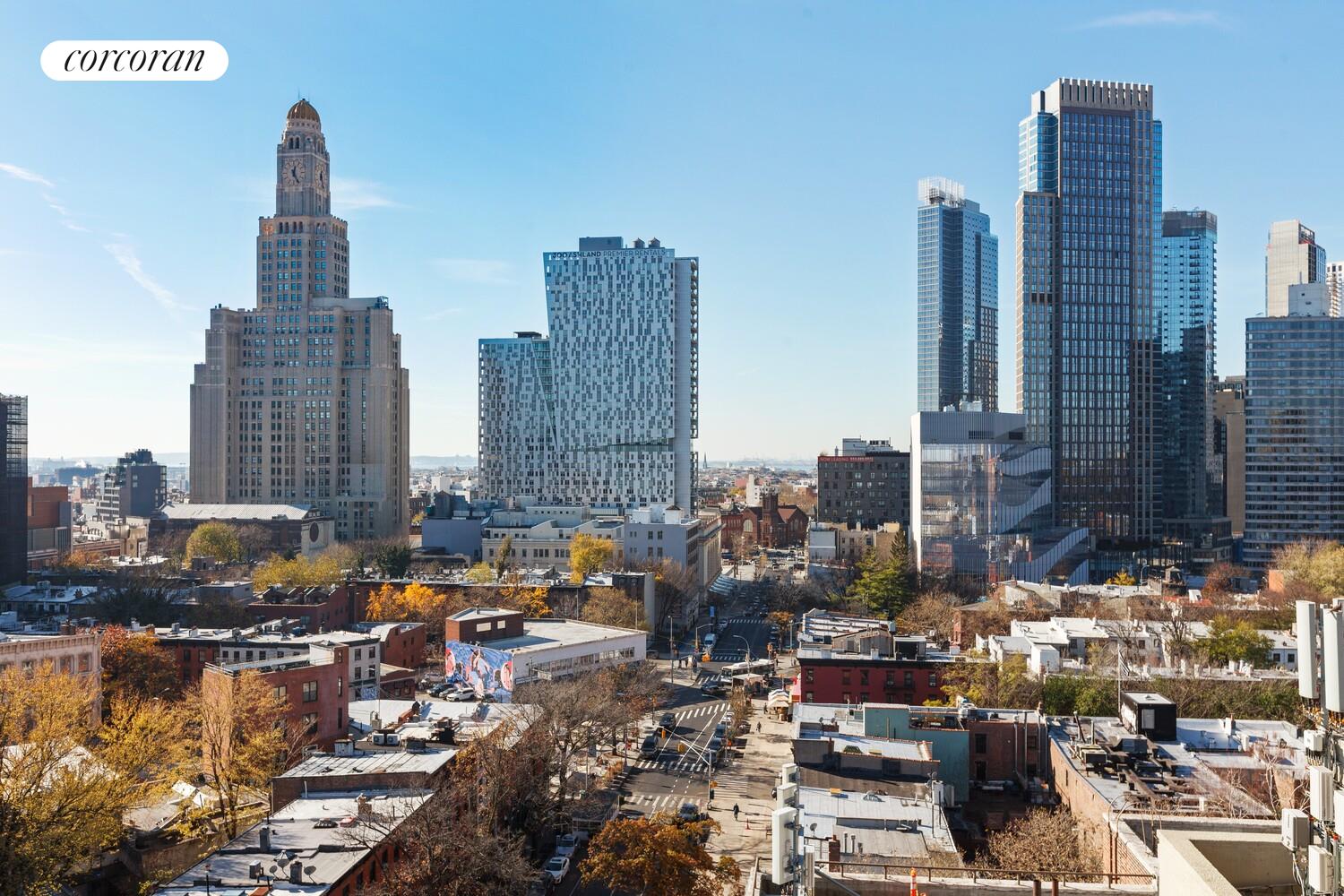 #8 photo, 101 LAFAYETTE Avenue, ब्रुकलीन Fort Greene , NY 11217