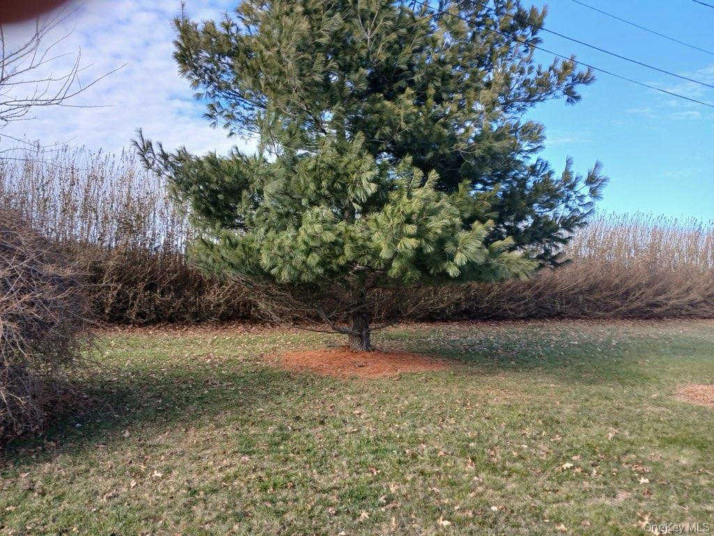 #1 photo, 7850 Bridge Lane, Саффолк ‖ Cutchogue , NY 11935