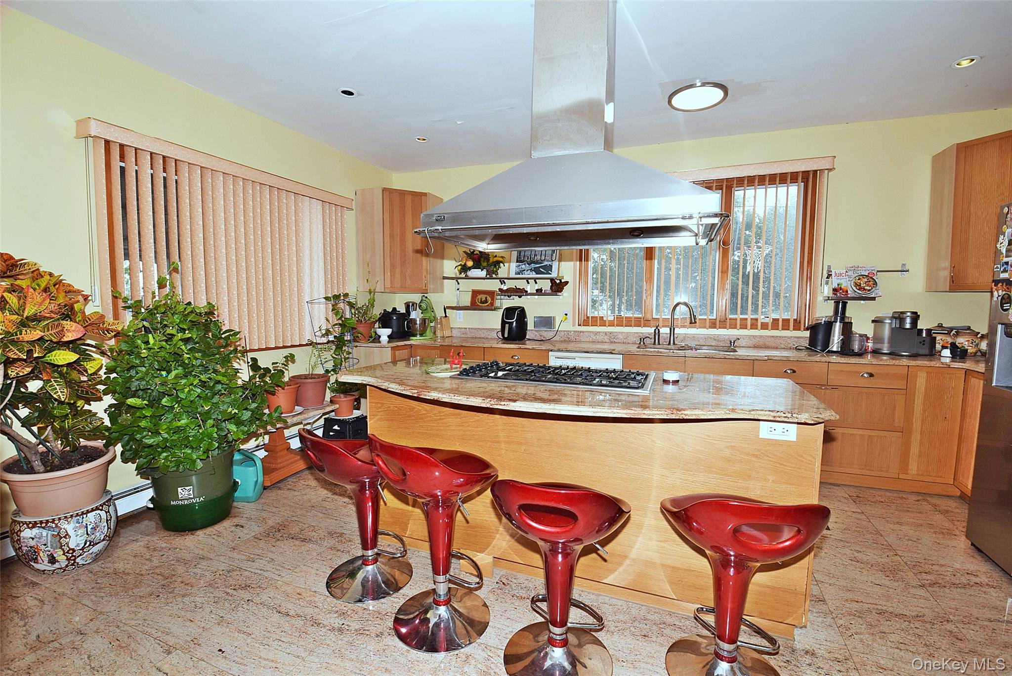 #7 photo, 2 Aster Drive, מחוז נסאו New Hyde Park , NY 11040