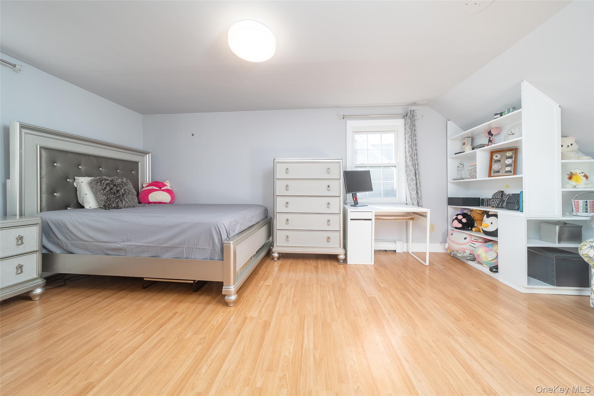 #11 photo, 57 Chaffee Avenue, 롱 아일랜드 Albertson , NY 11507