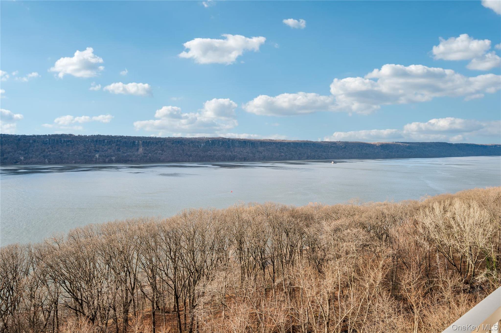 #3 photo, 4455 Douglas Avenue, 브롱크스 Bronx , NY 10471