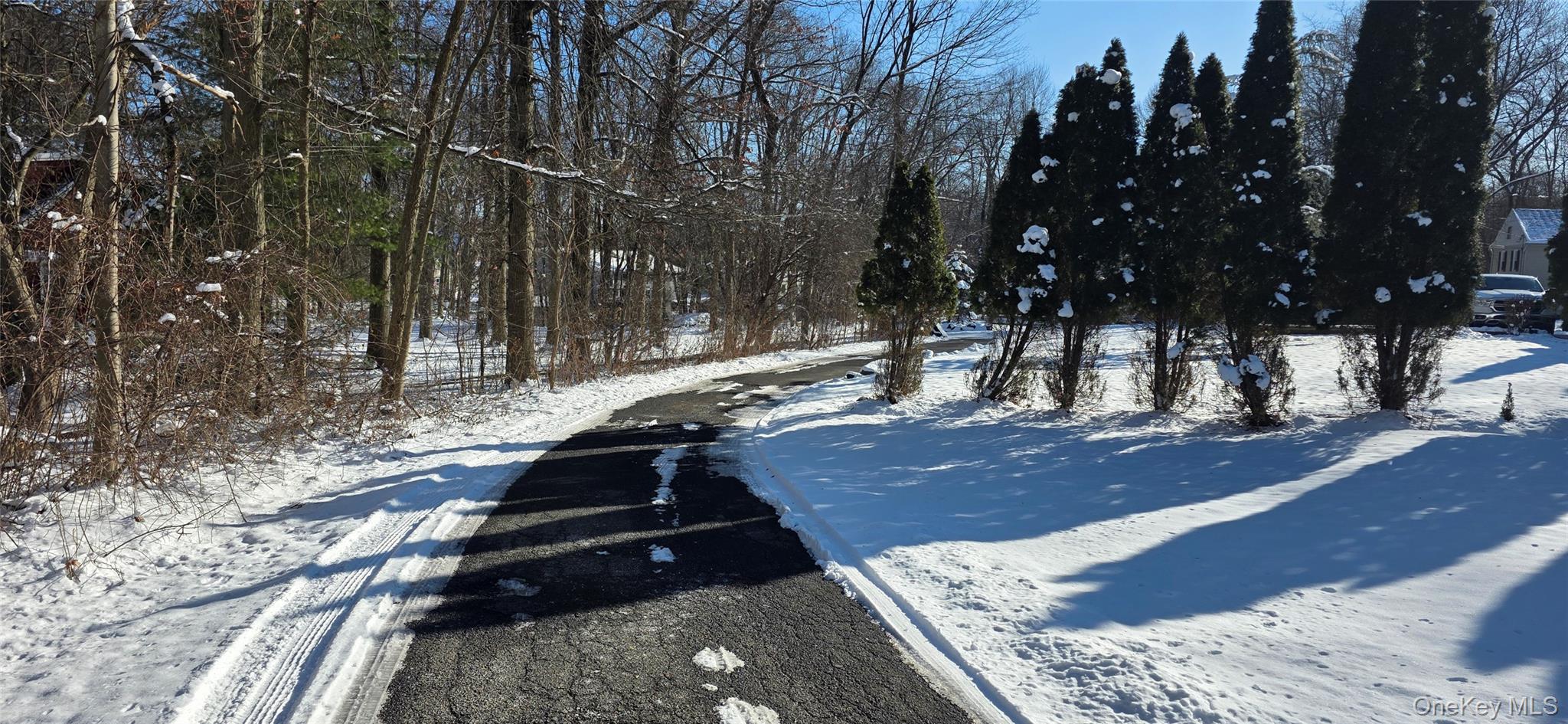 #18 photo, 56 Millspaugh Lane, Bardonia , NY 10954