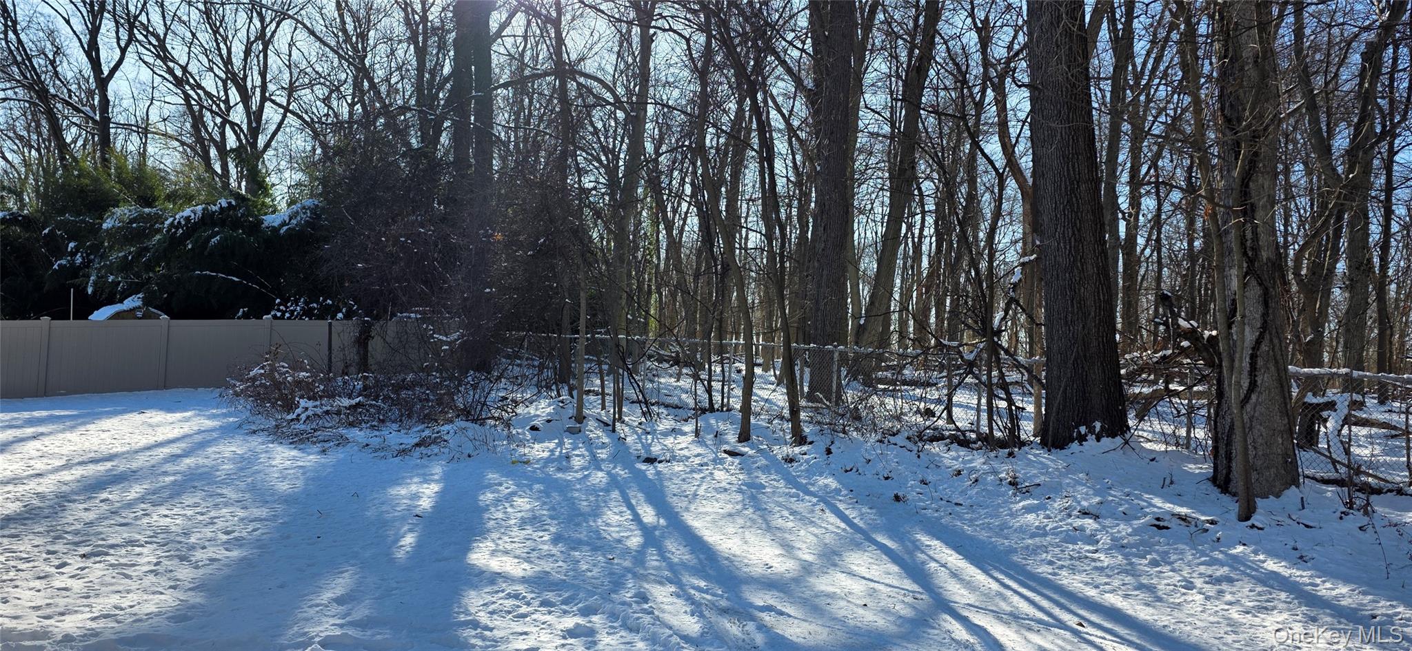 #19 photo, 56 Millspaugh Lane, Bardonia , NY 10954