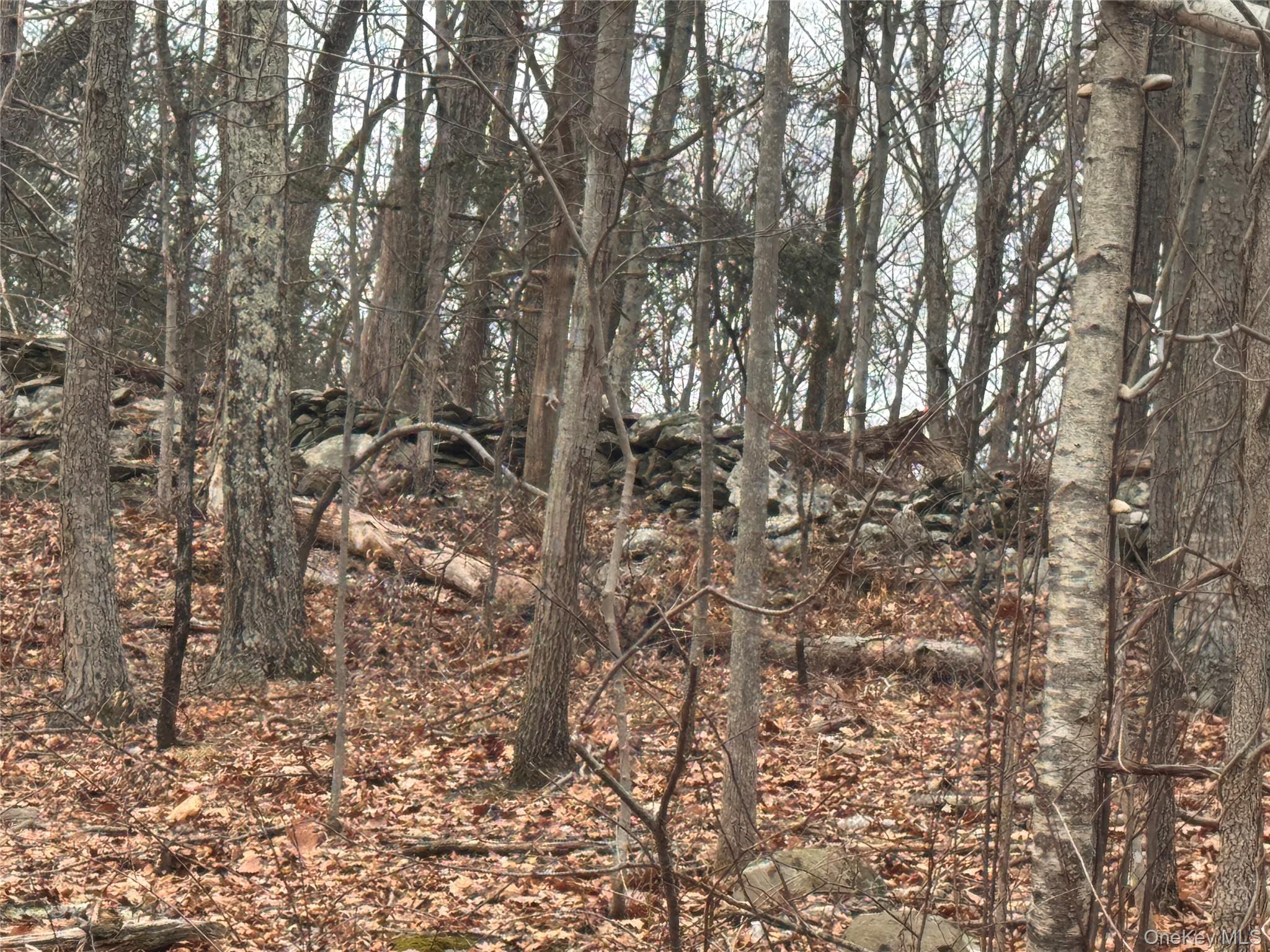 #2 photo, 17 Vanessa Lane, Staatsburg , NY 12580