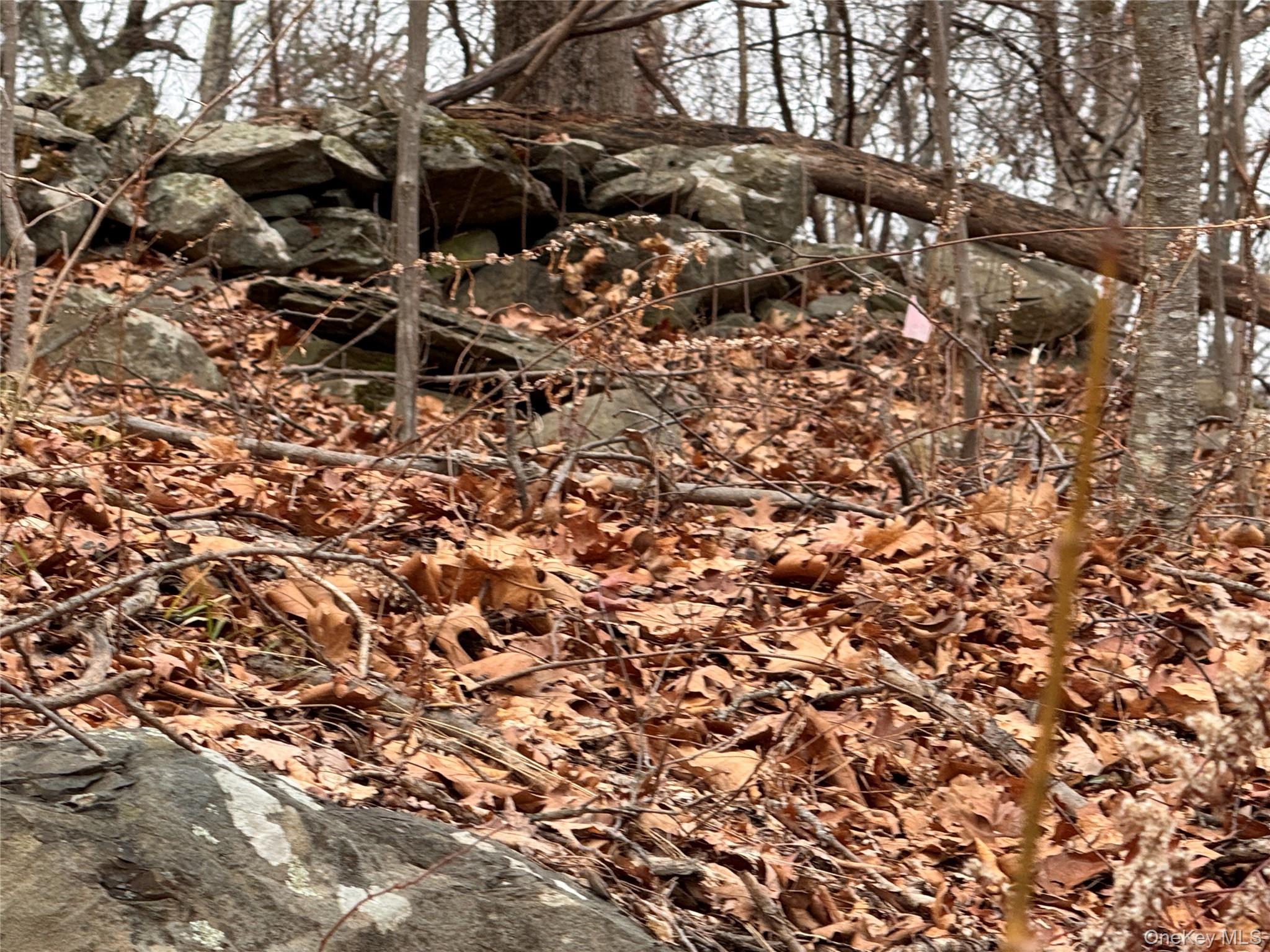 #4 photo, 17 Vanessa Lane, Staatsburg , NY 12580