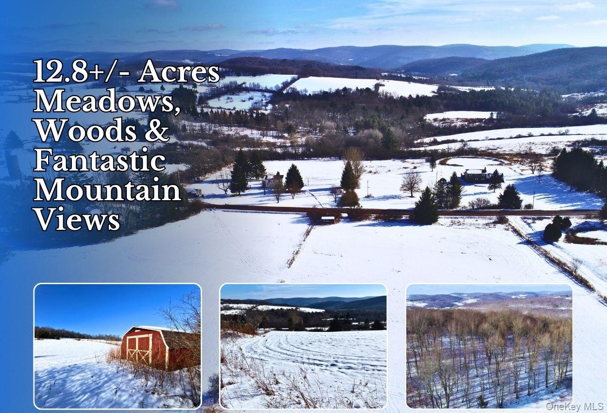 #1 photo, Lot 41-42 Hamden Hill Road, Hamden , NY 13782