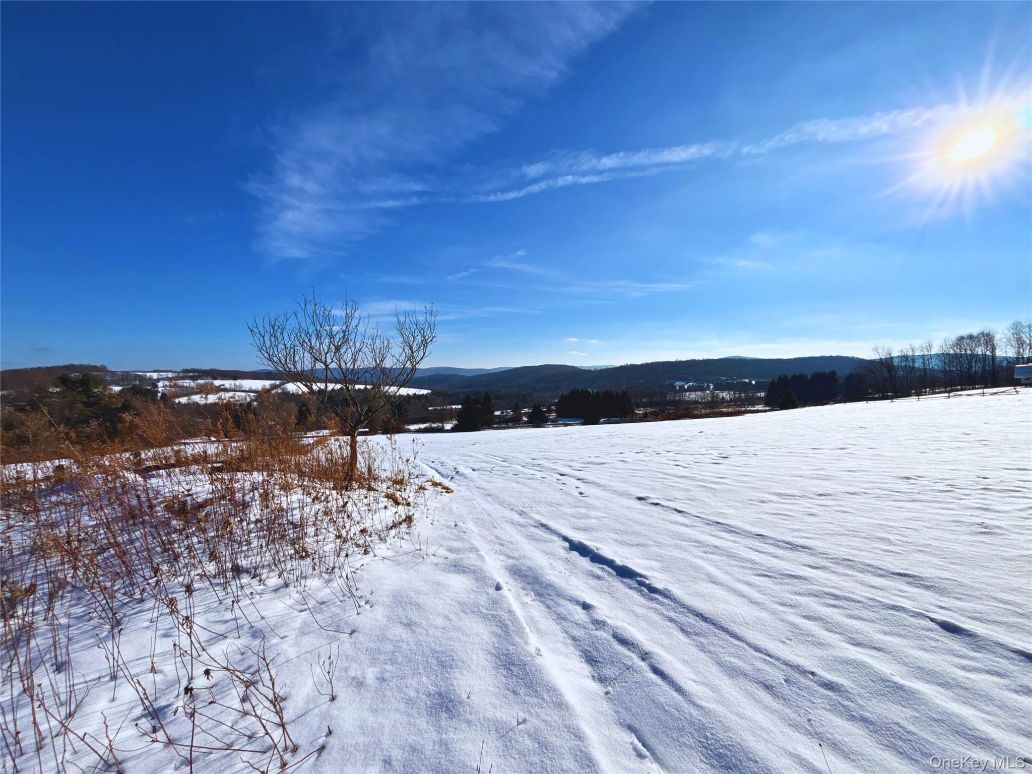 #12 photo, Lot 41-42 Hamden Hill Road, Hamden , NY 13782